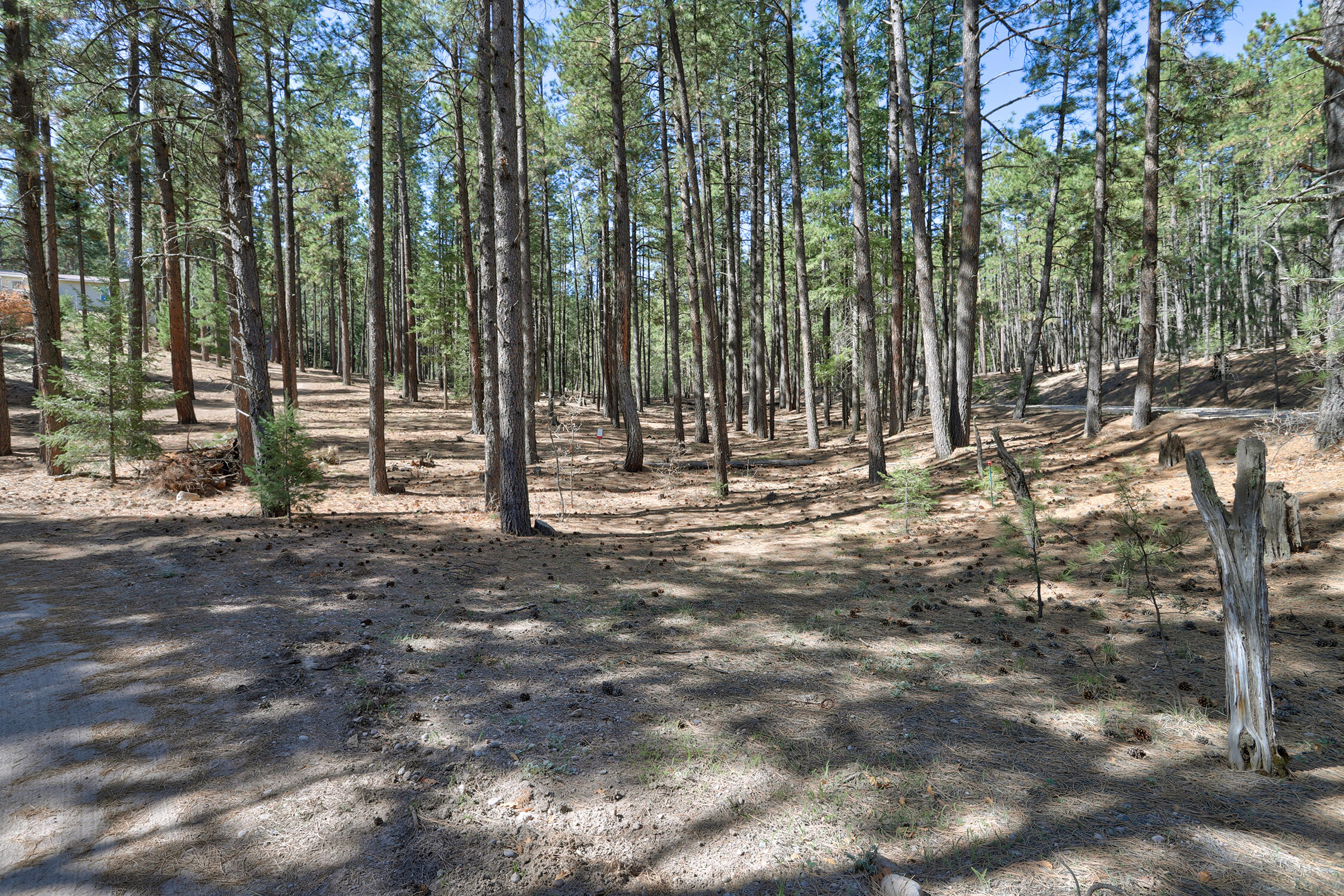 Lands Of Hotchkiss Lot B Nf 10, Jemez Springs, New Mexico image 4