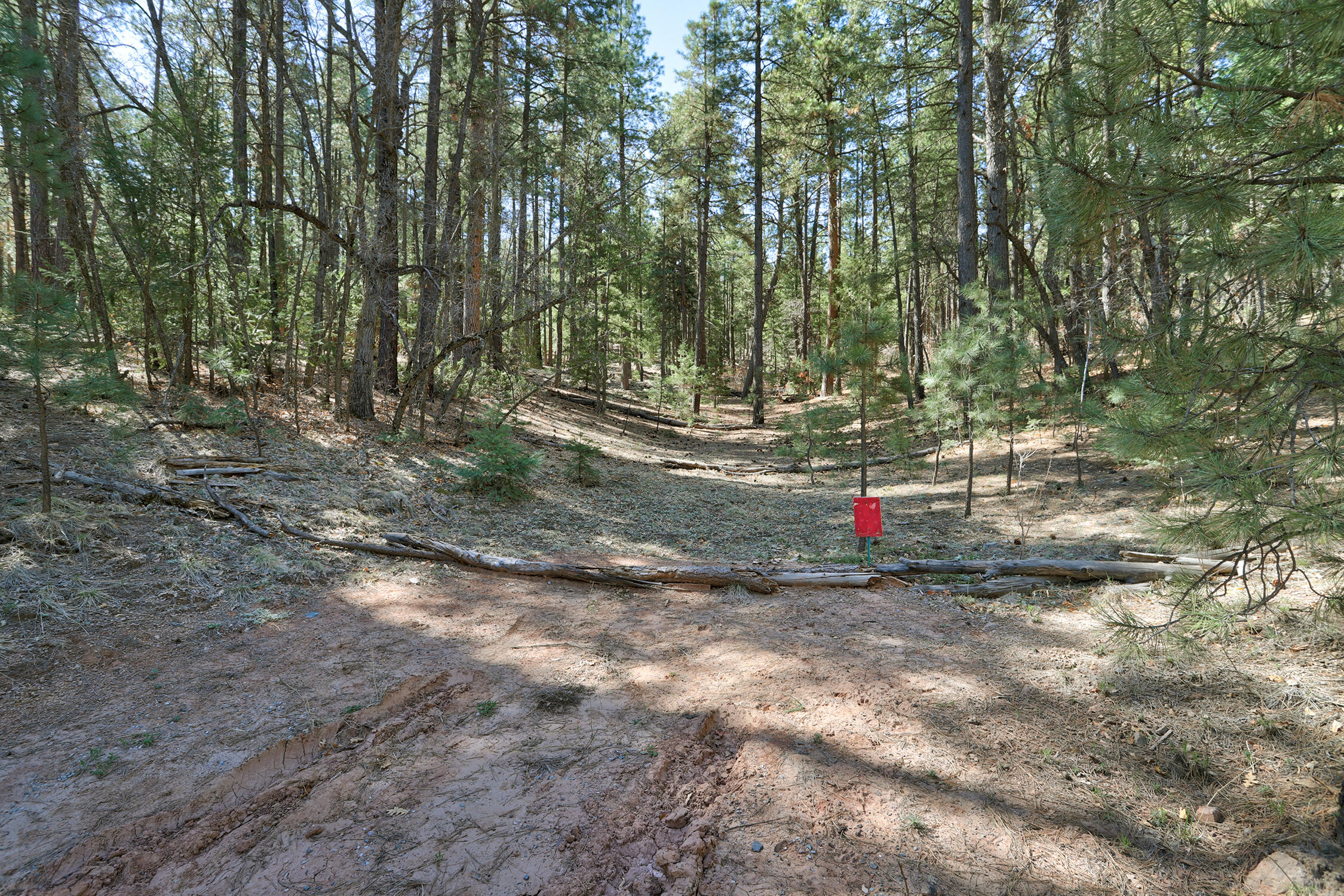 Lands Of Hotchkiss Lot B Nf 10, Jemez Springs, New Mexico image 6