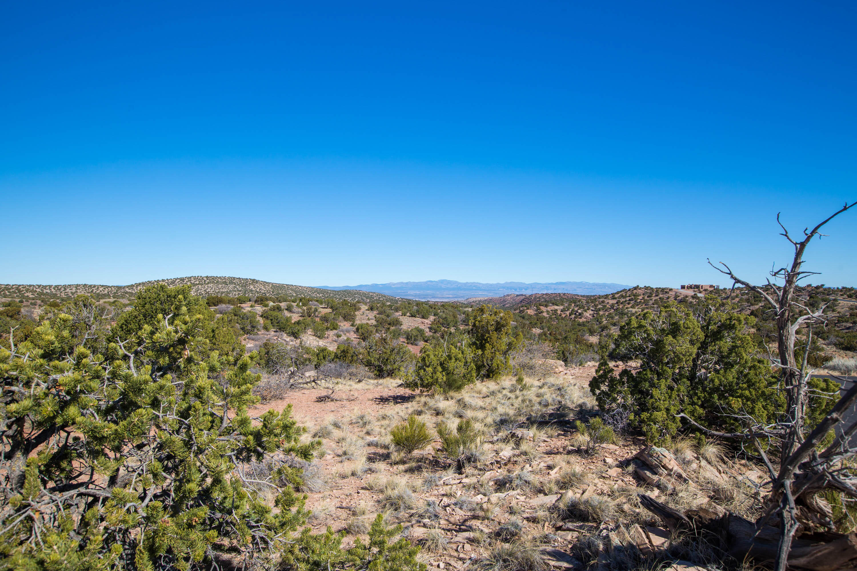 234 N Wild Primrose, Placitas, New Mexico image 2