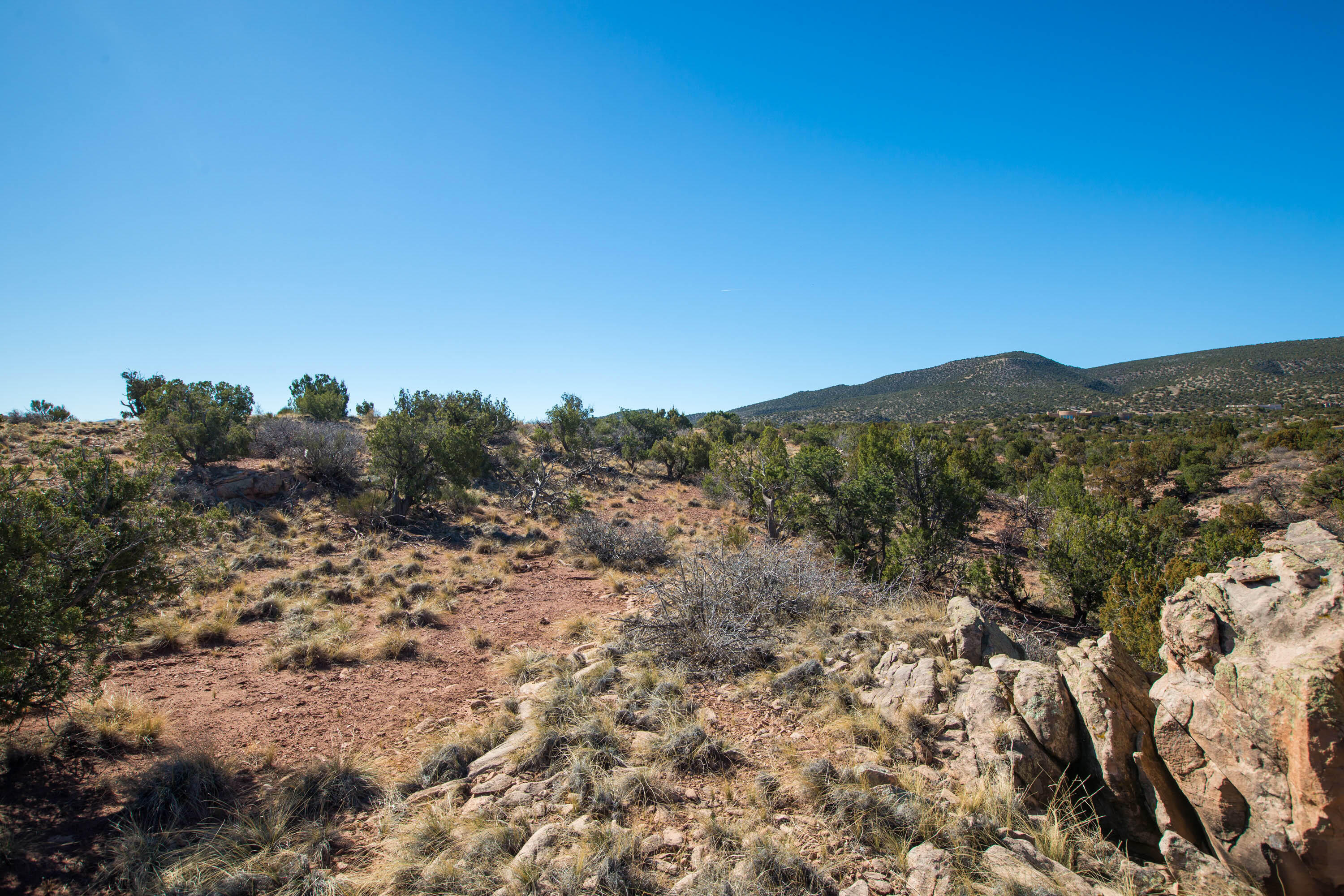 234 N Wild Primrose, Placitas, New Mexico image 1