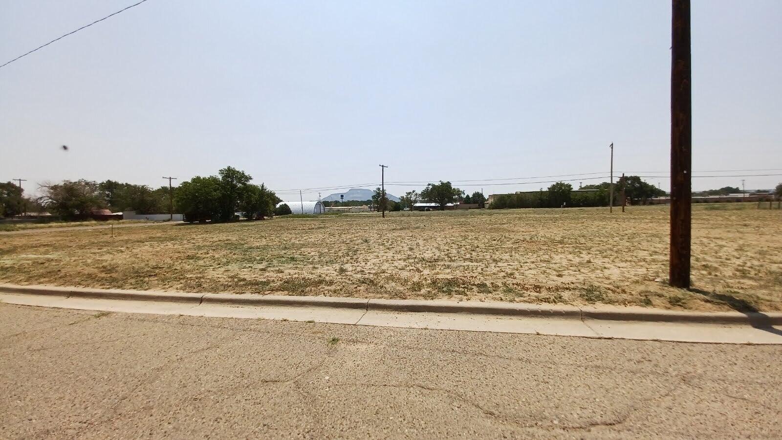 924 E LAUGHLIN Avenue