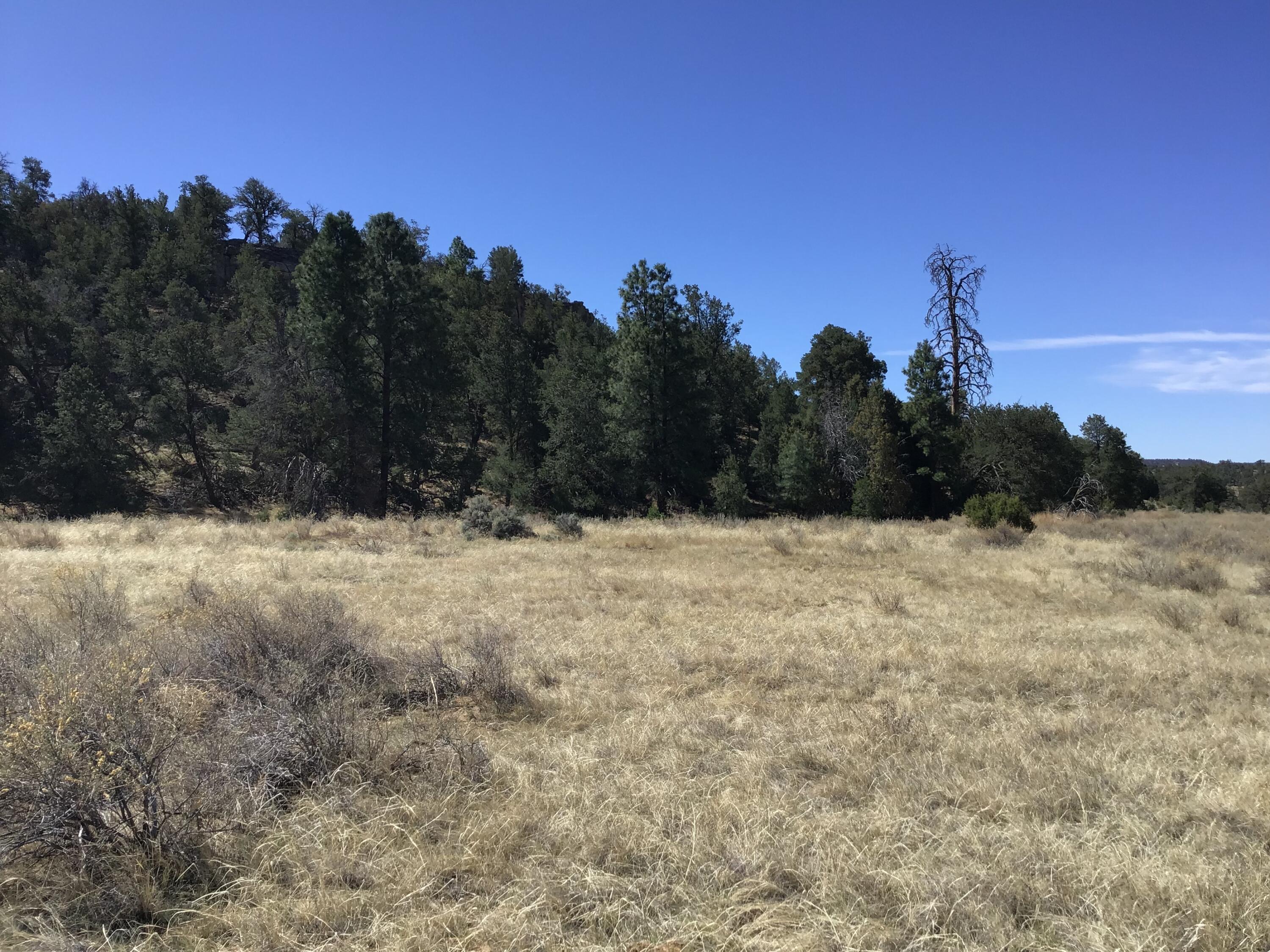 3239 Hwy 53, Ramah, New Mexico image 43