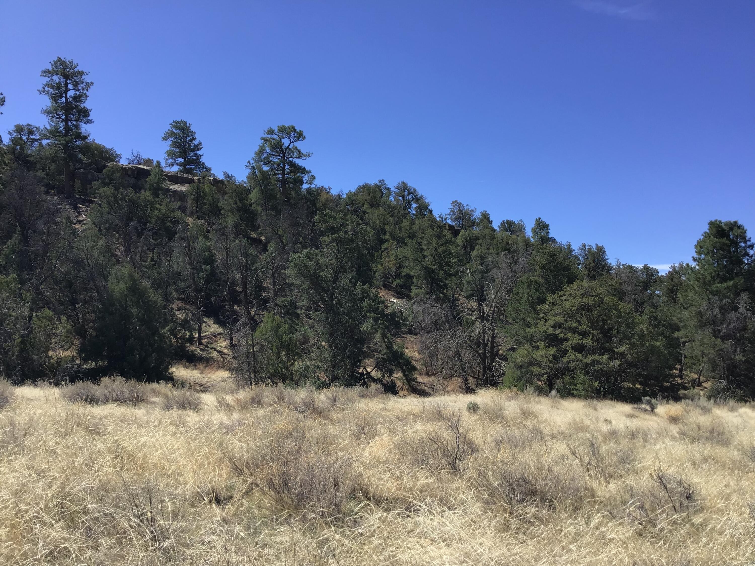 3239 Hwy 53, Ramah, New Mexico image 42