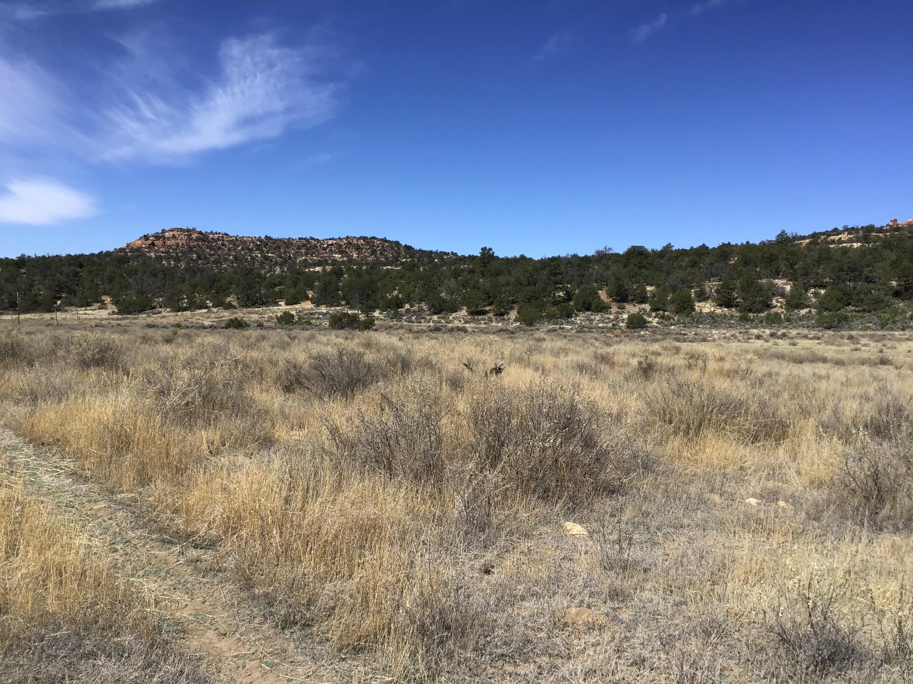 3239 Hwy 53, Ramah, New Mexico image 44