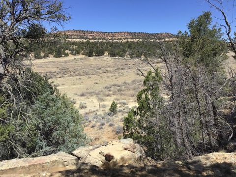 Vacant Land For Sale - 3239 Hwy 53<br/> Ramah, NM 87321
