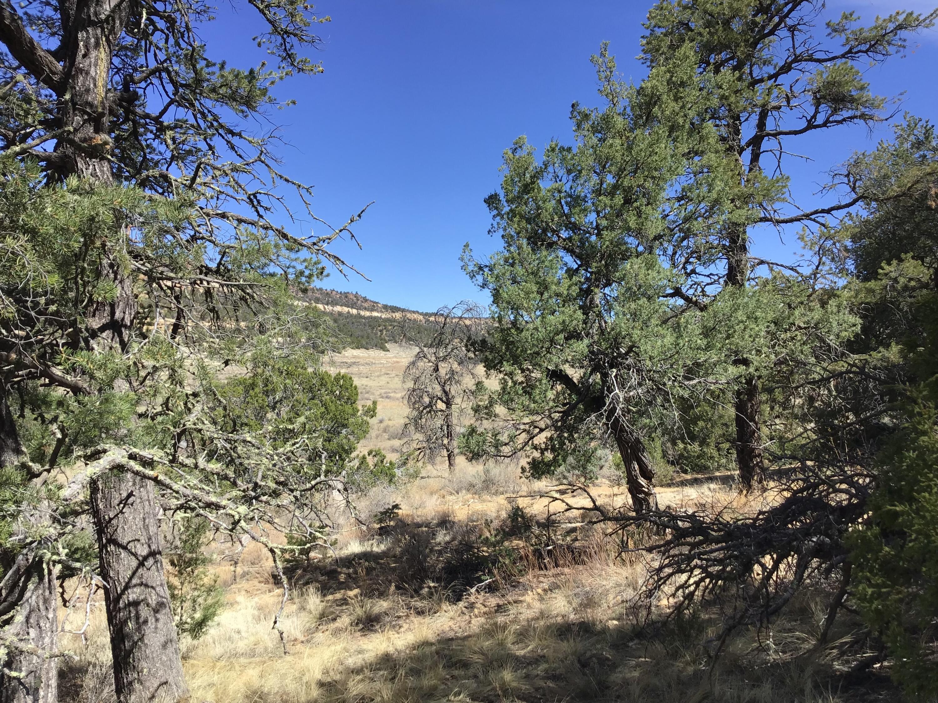 3239 Hwy 53, Ramah, New Mexico image 24
