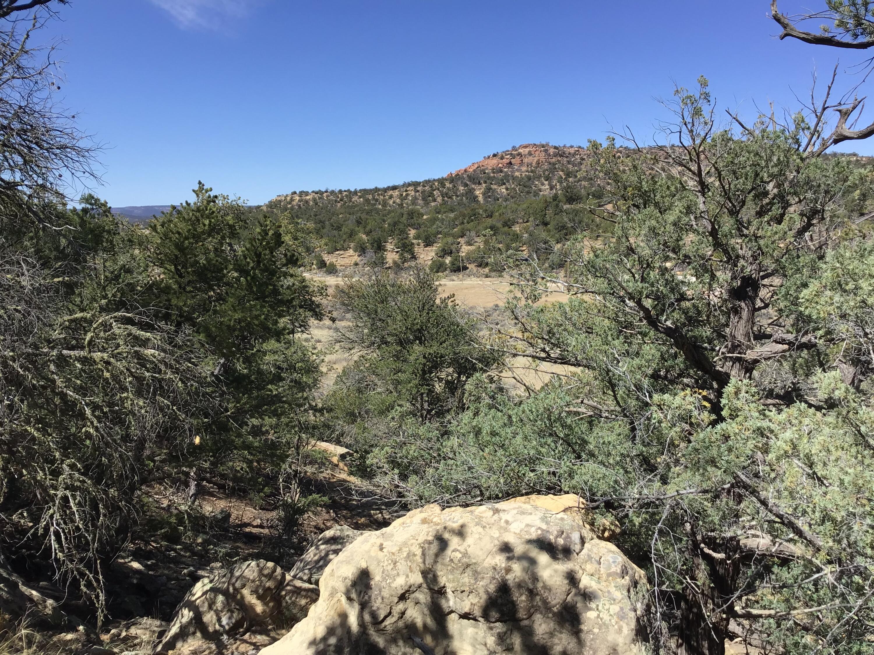 3239 Hwy 53, Ramah, New Mexico image 16