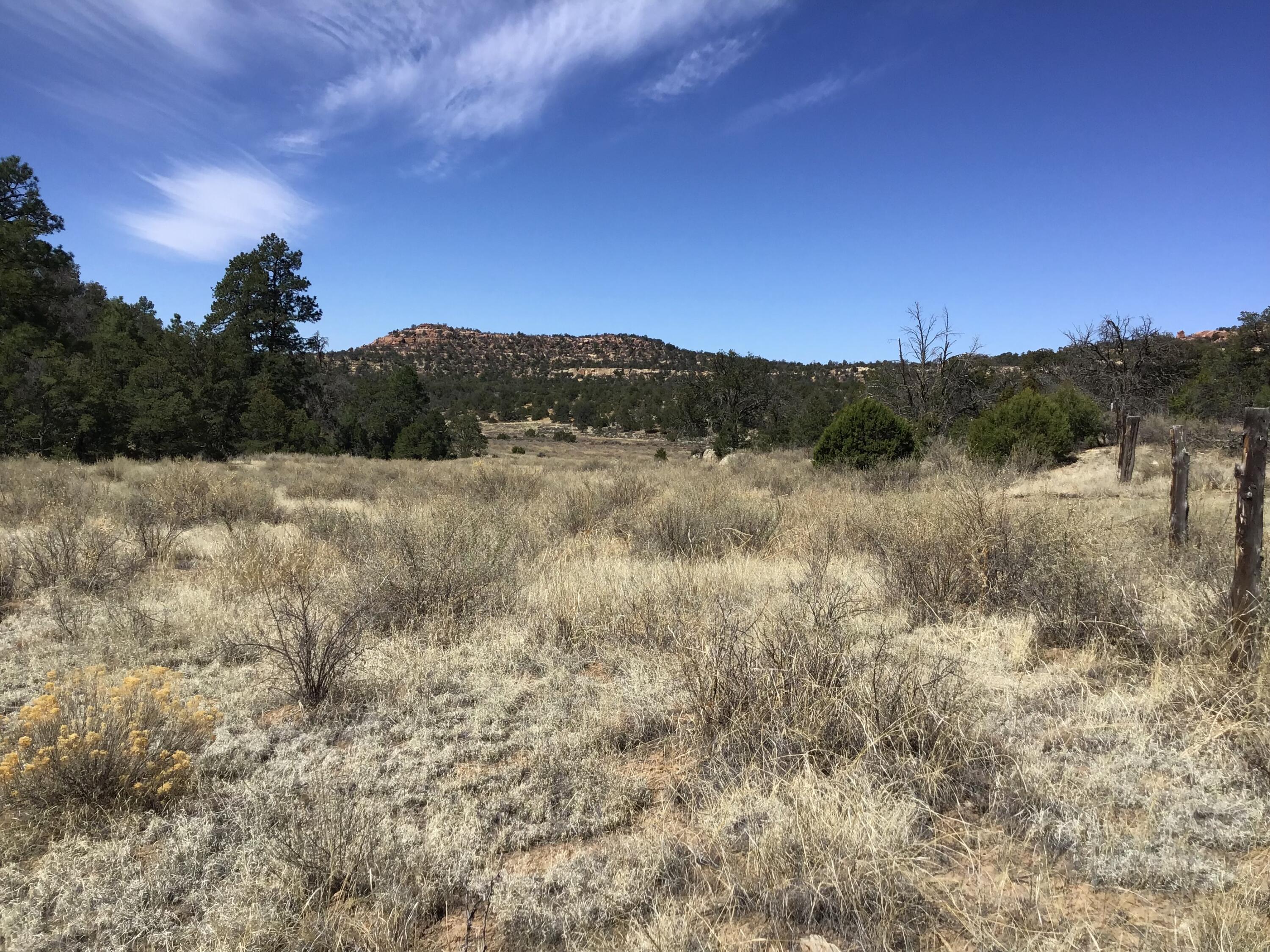 3239 Hwy 53, Ramah, New Mexico image 37