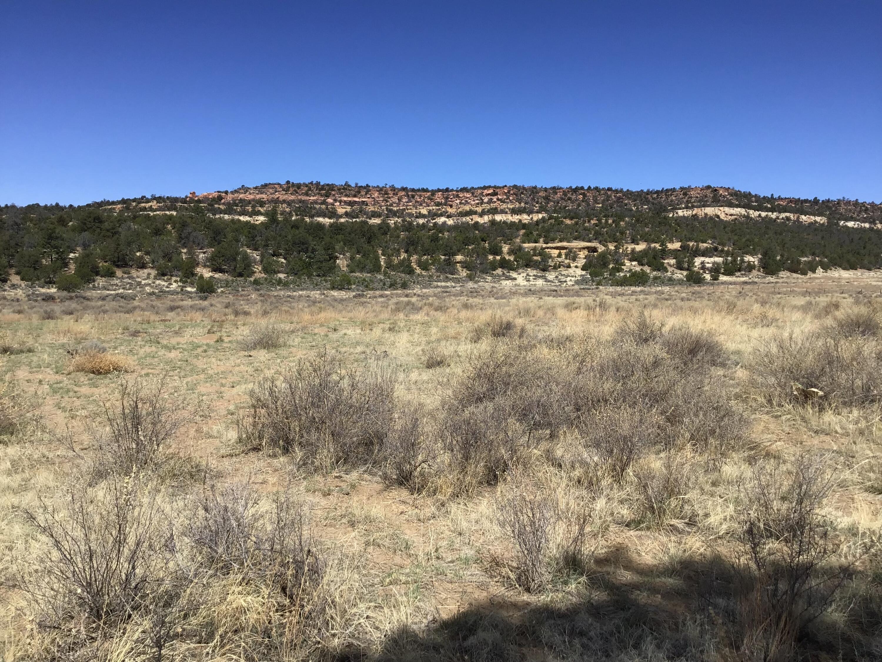 3239 Hwy 53, Ramah, New Mexico image 18