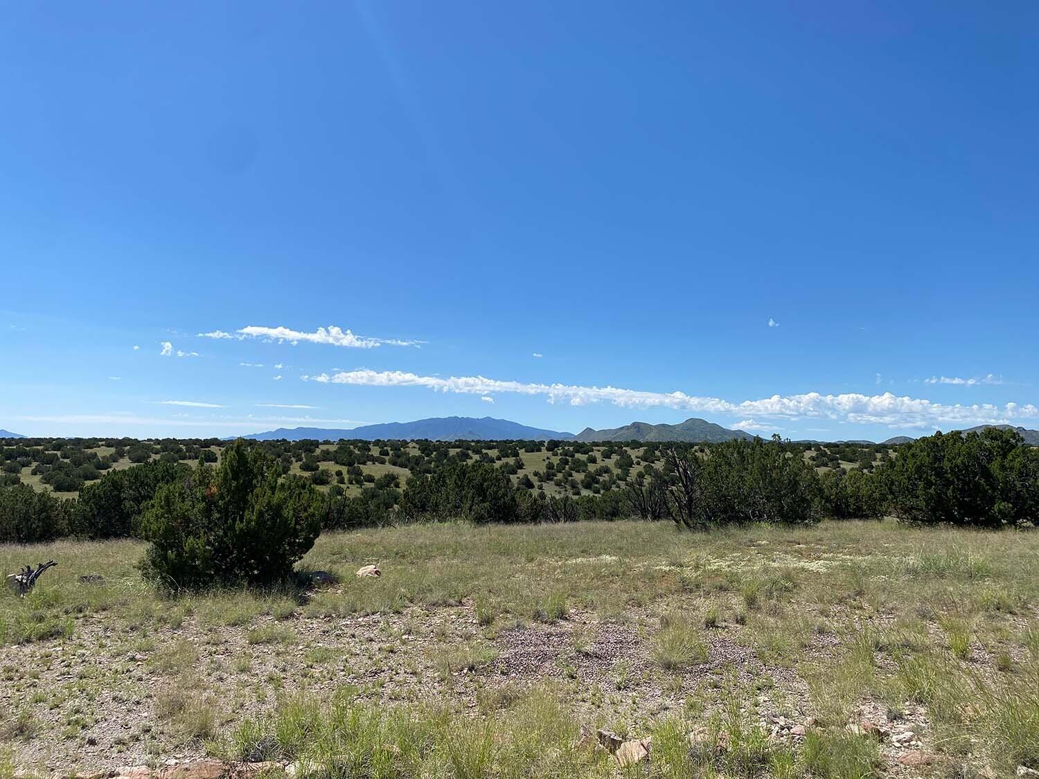 Forest Road 354, Magdalena, New Mexico image 26