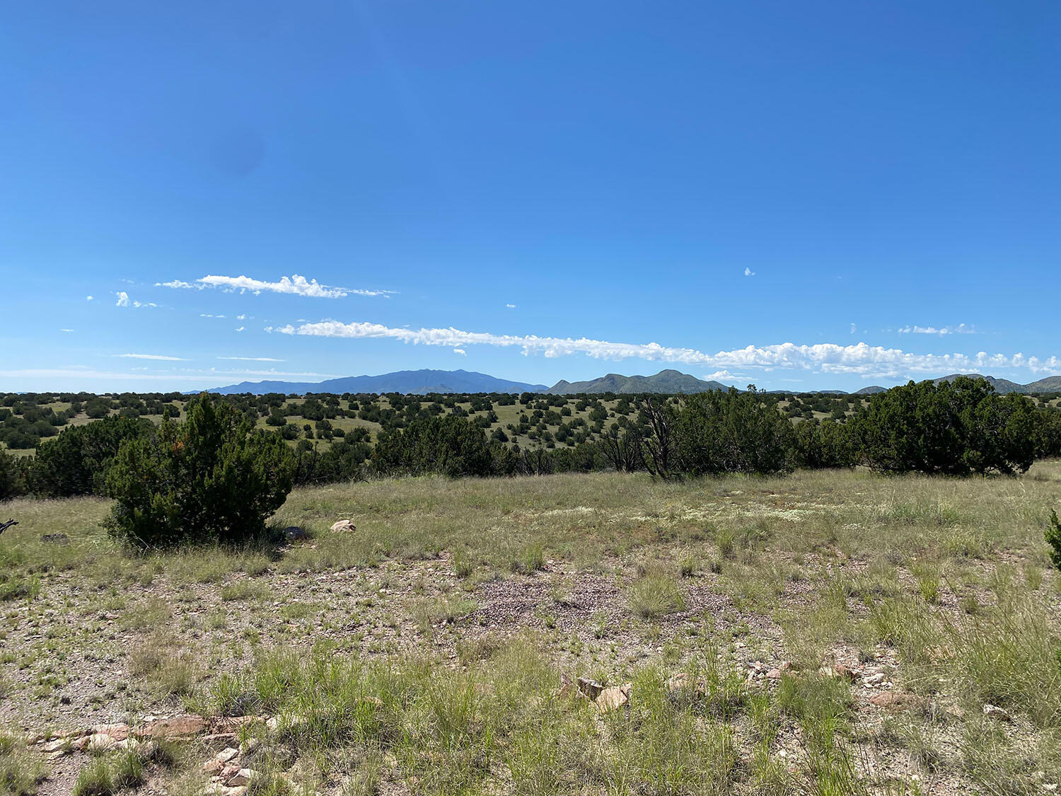 Forest Road 354, Magdalena, New Mexico image 25