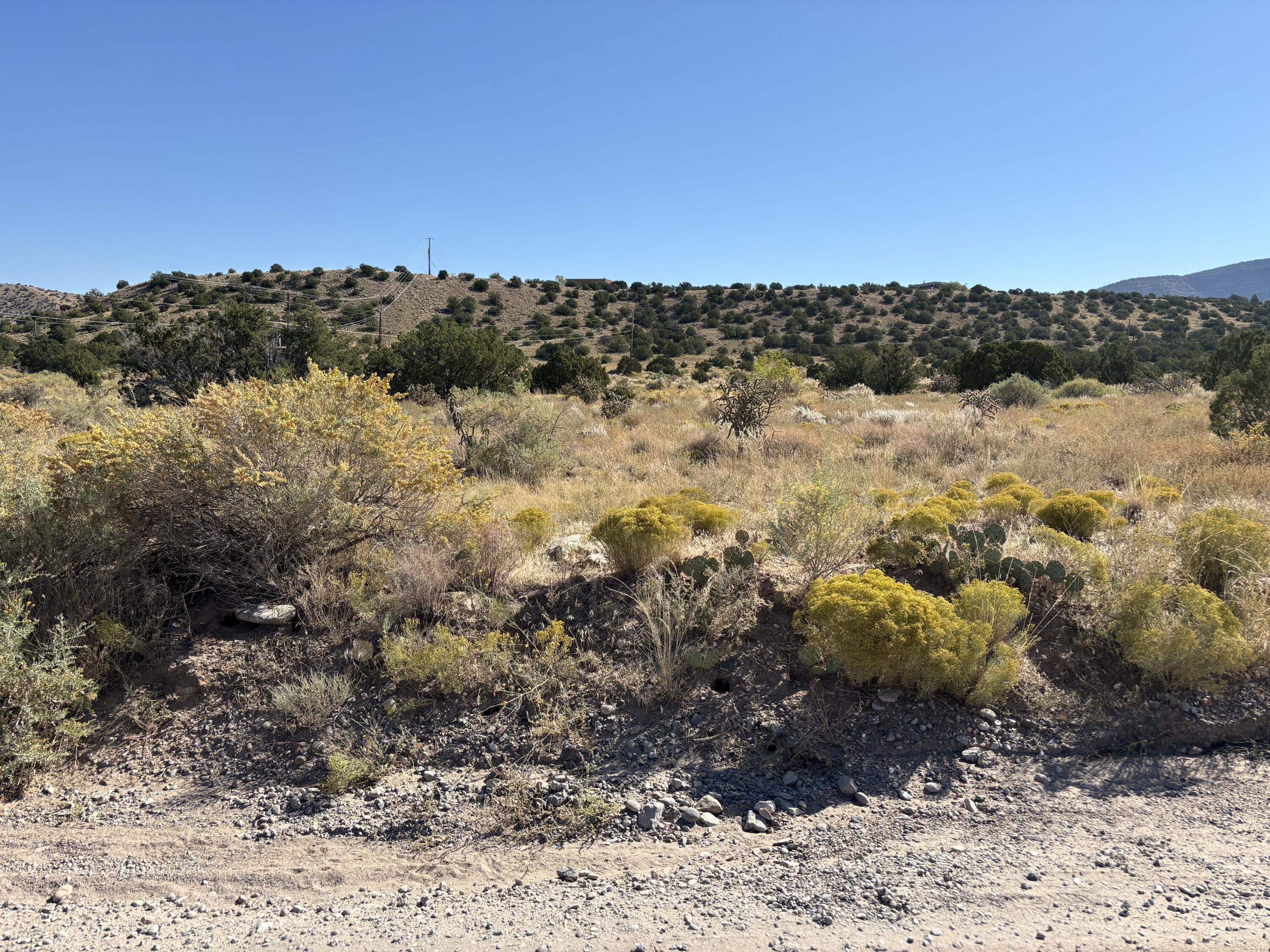 Rainbow Valley Road, Placitas, New Mexico image 3