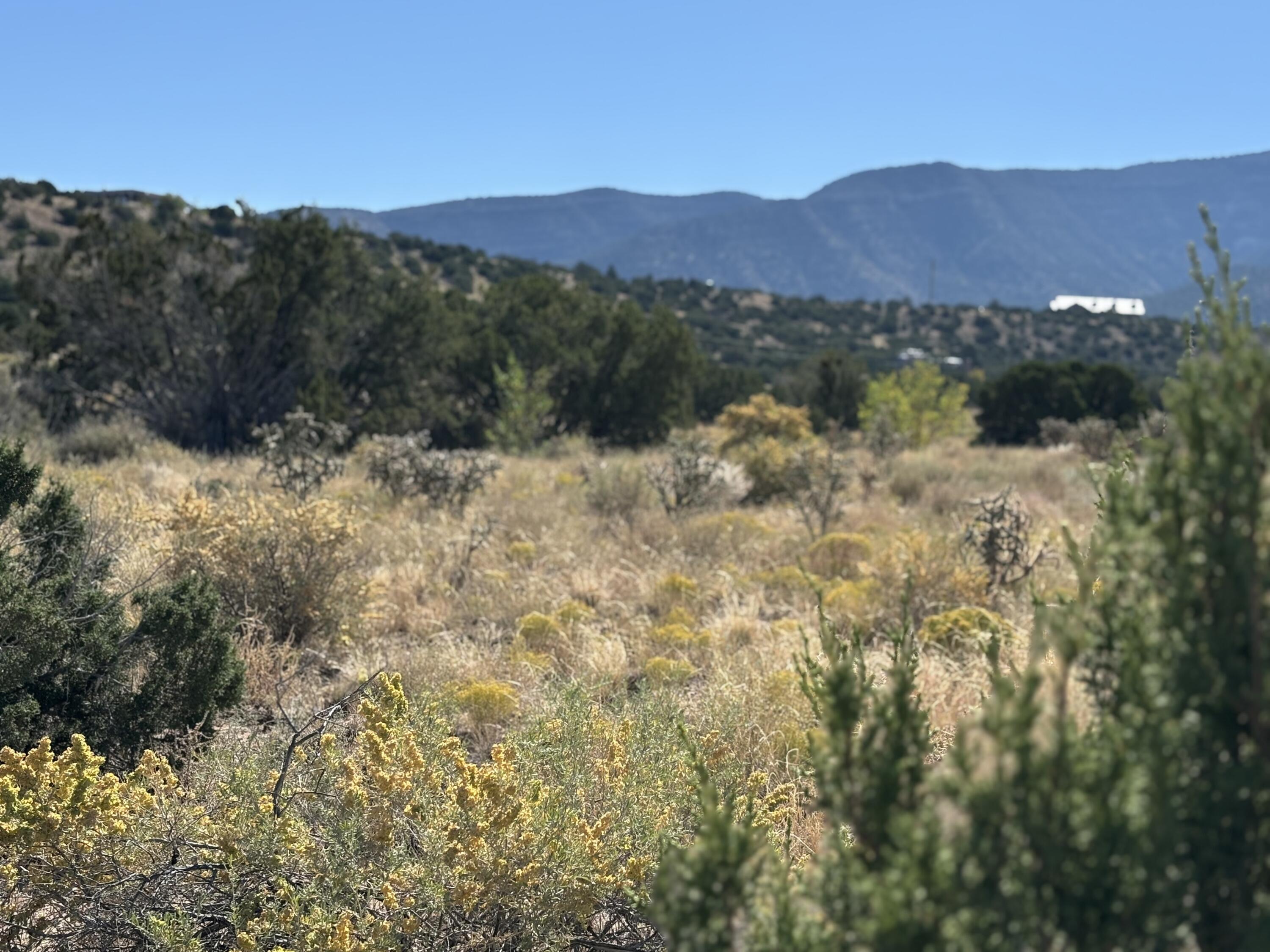 Rainbow Valley Road, Placitas, New Mexico image 1