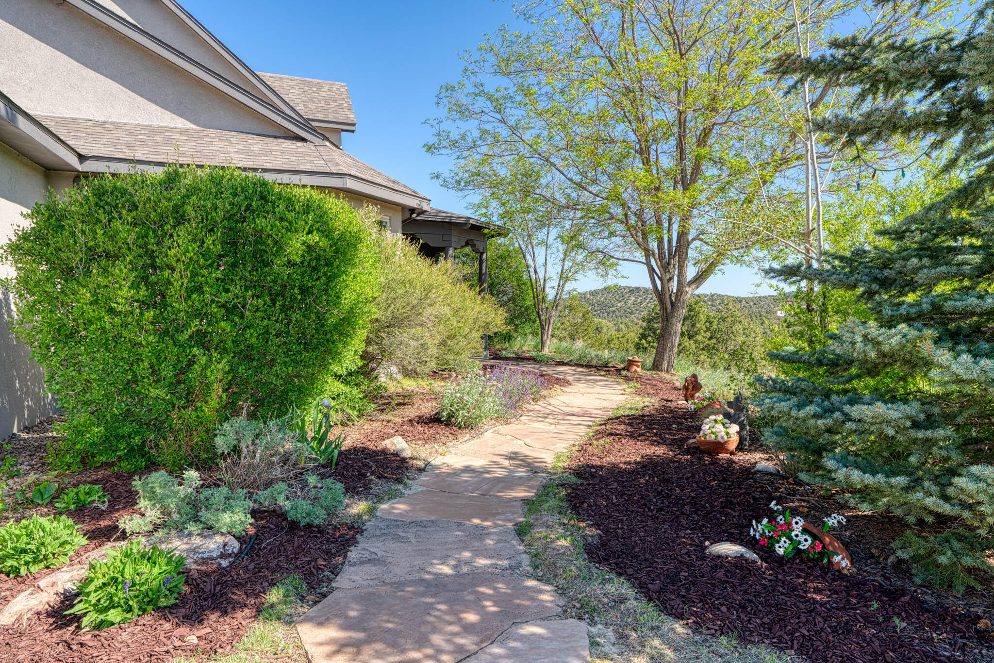 7 Lobelia Lane, Sandia Park, New Mexico image 12