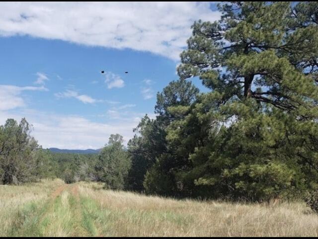 15 Ardilla Road, Tijeras, New Mexico image 16