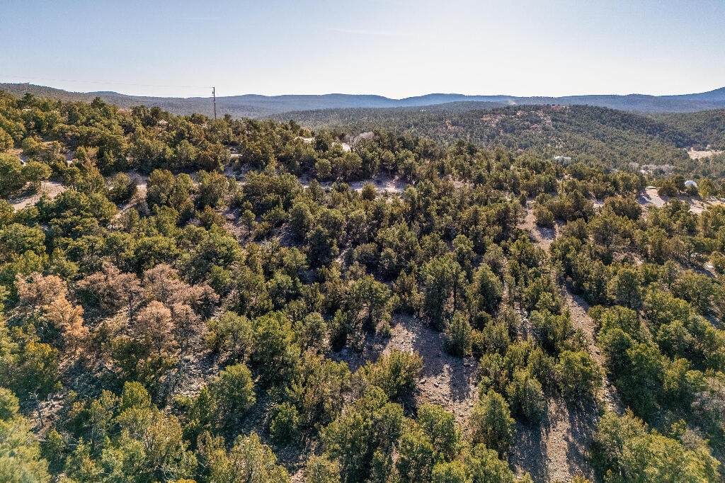 15 Ardilla Road, Tijeras, New Mexico image 7