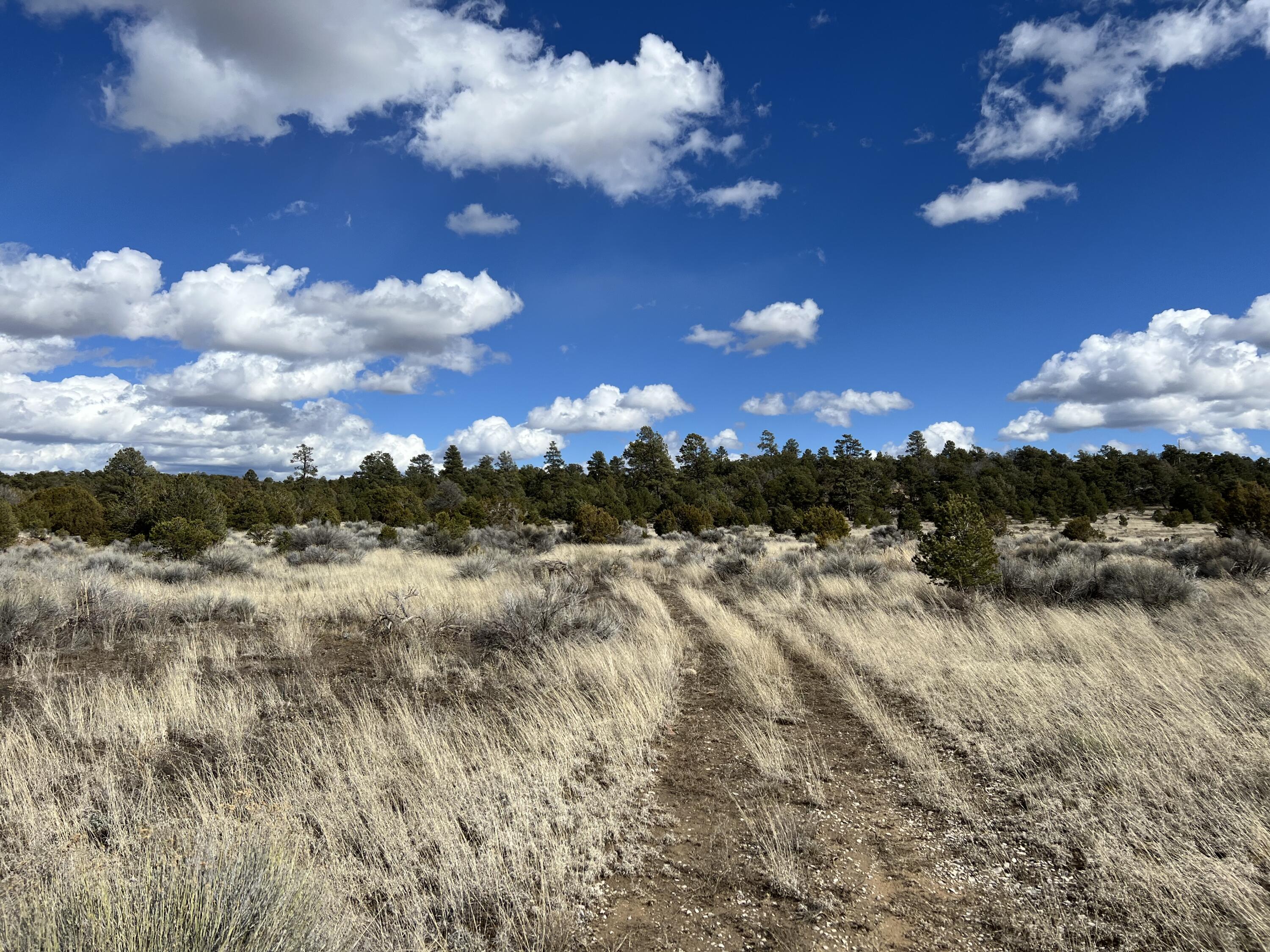 Lot 14 Candy Kitchen Road, Ramah, New Mexico image 30