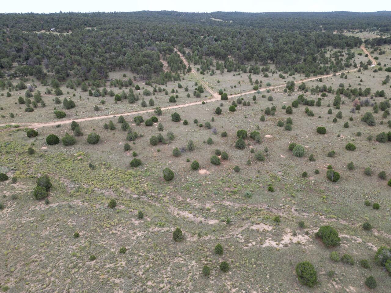 Lot 14 Candy Kitchen Road, Ramah, New Mexico image 36