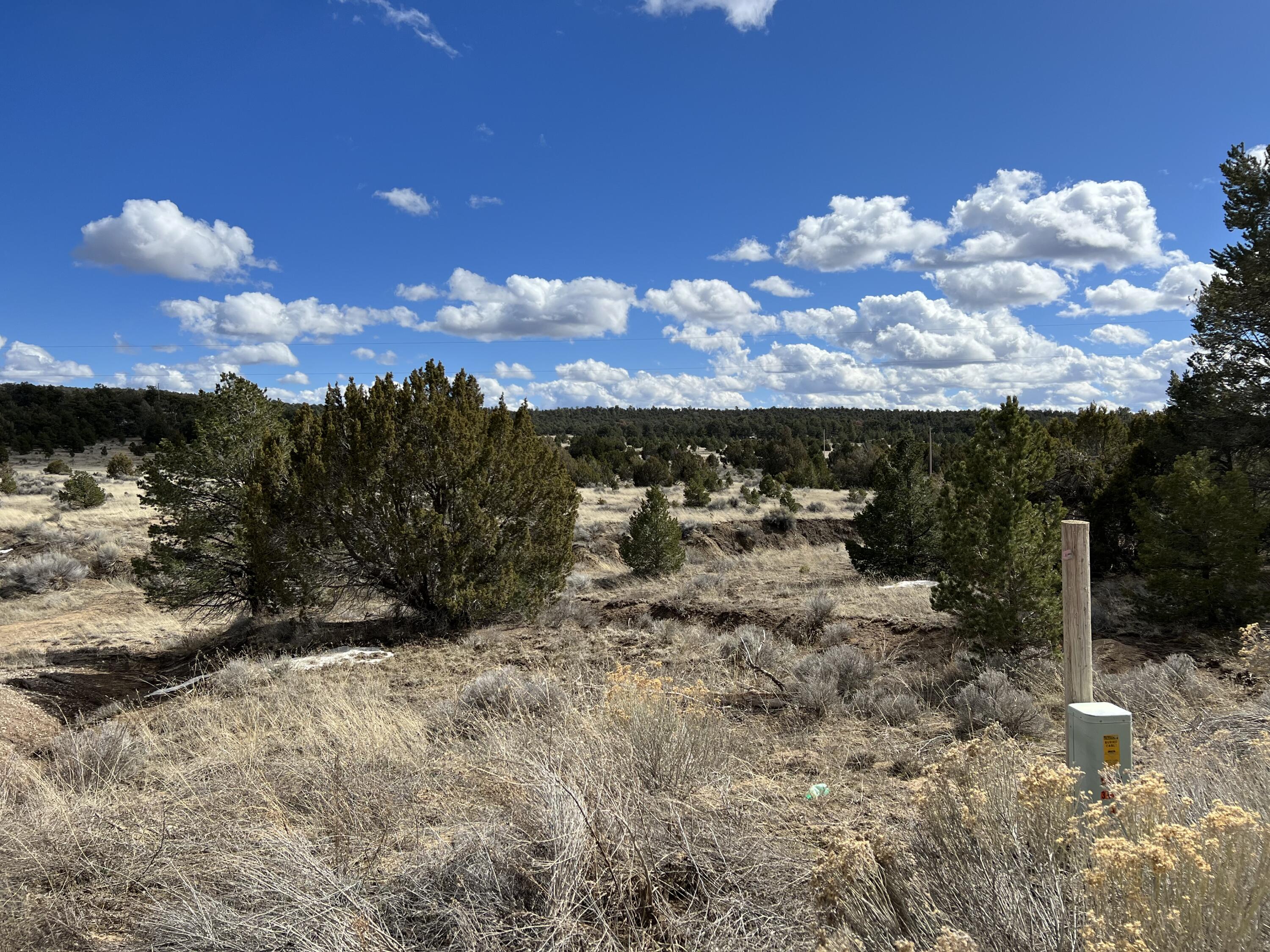 Lot 14 Candy Kitchen Road, Ramah, New Mexico image 16