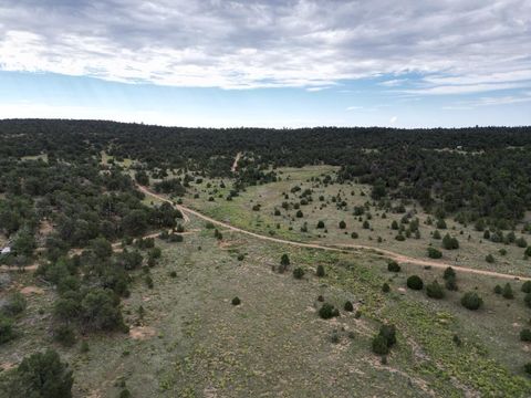 Vacant Land For Sale - LOT 14 Candy Kitchen Road<br/> Ramah, NM 87321