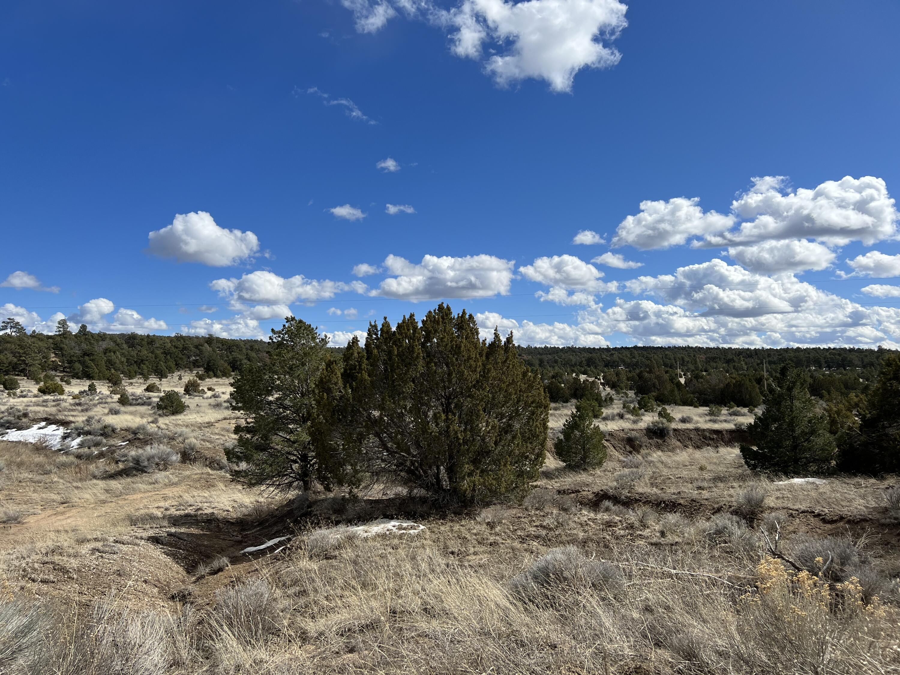 Lot 14 Candy Kitchen Road, Ramah, New Mexico image 17