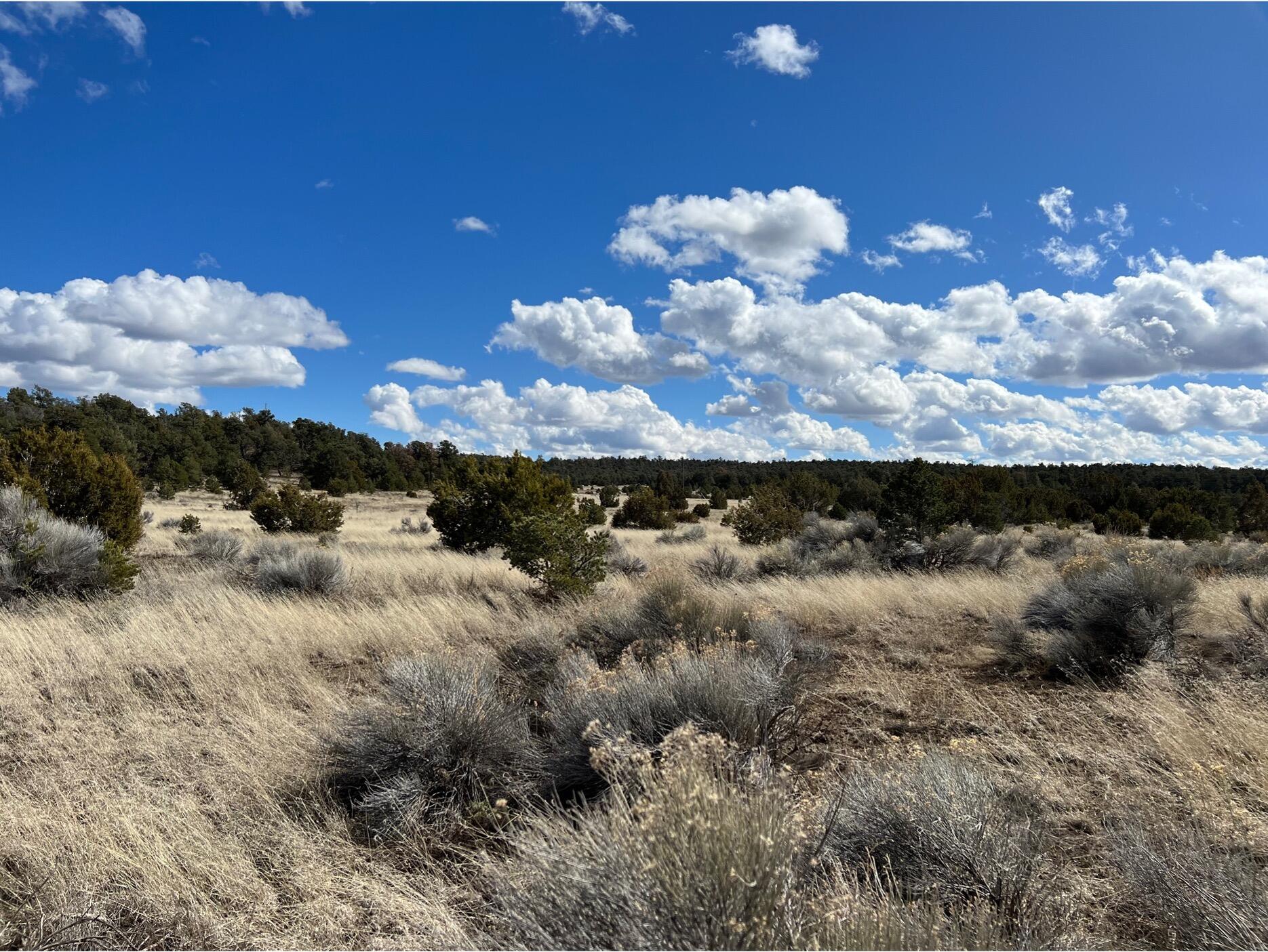 Lot 14 Candy Kitchen Road, Ramah, New Mexico image 11