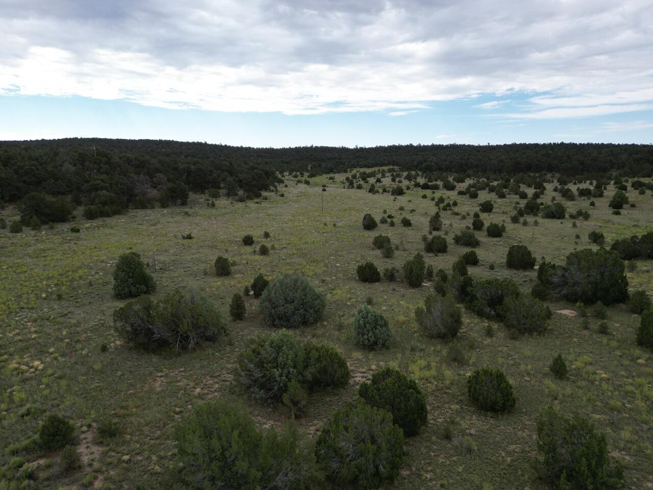 Lot 14 Candy Kitchen Road, Ramah, New Mexico image 35