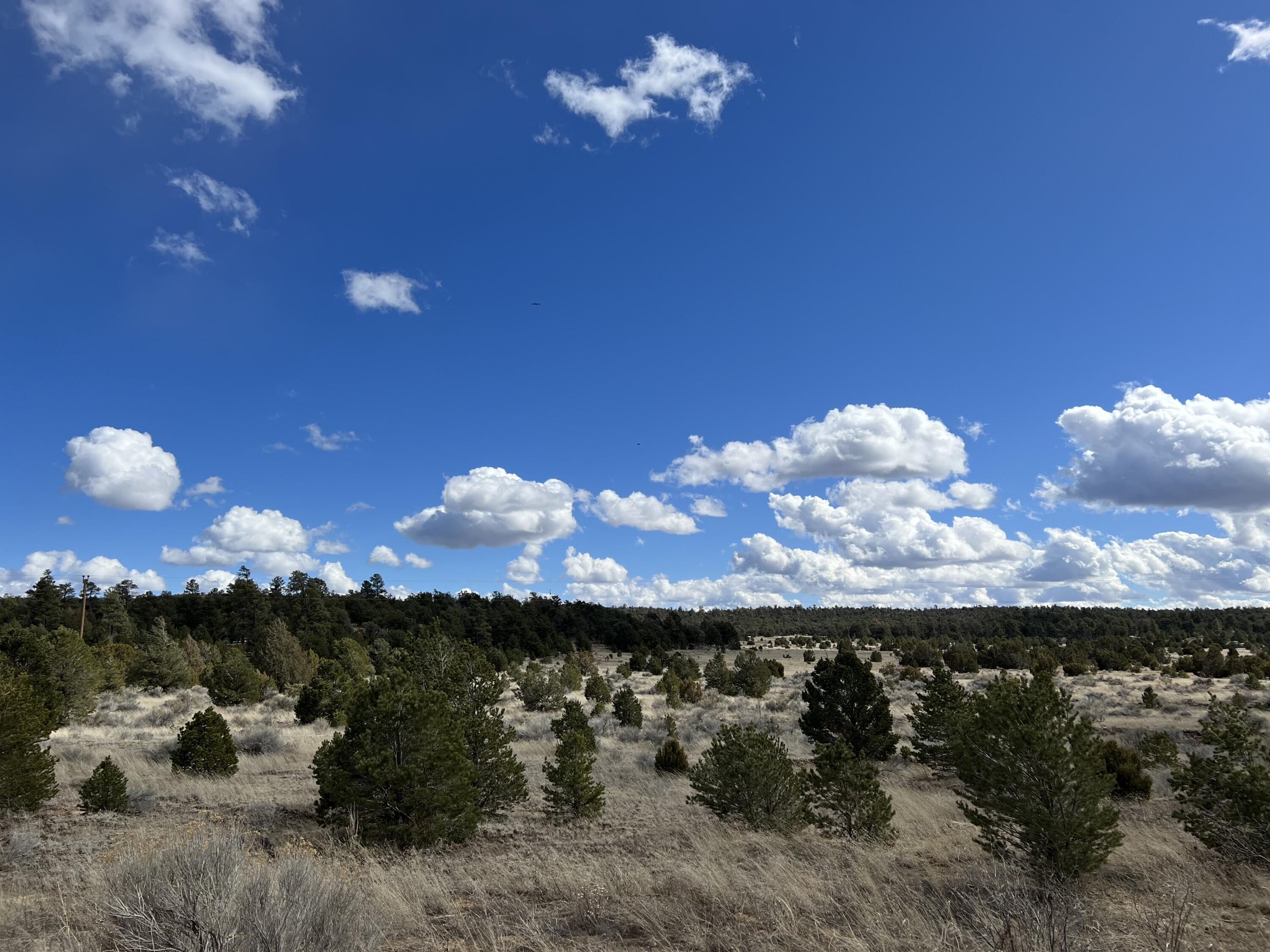 Lot 14 Candy Kitchen Road, Ramah, New Mexico image 22