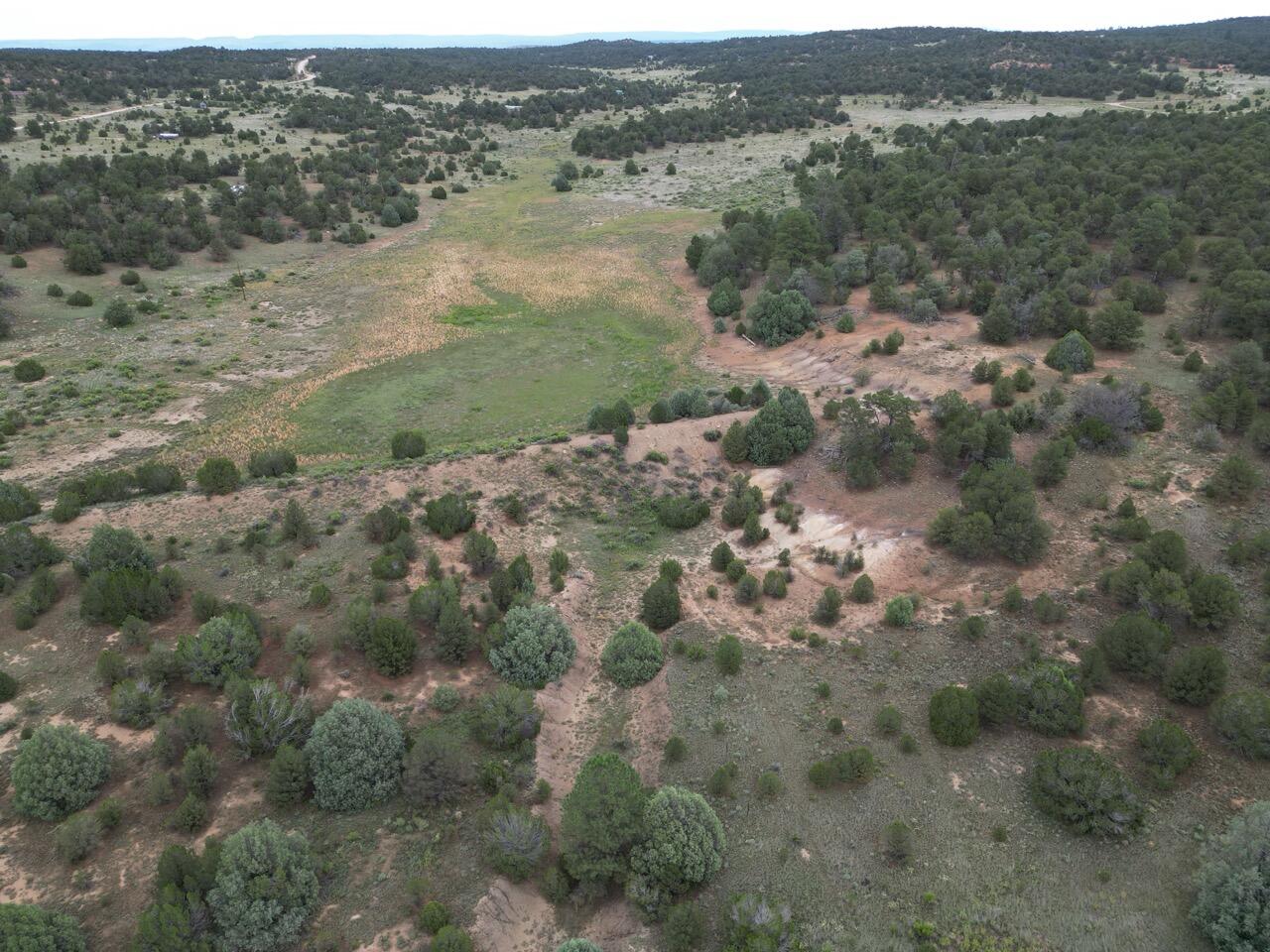 Lot 14 Candy Kitchen Road, Ramah, New Mexico image 42