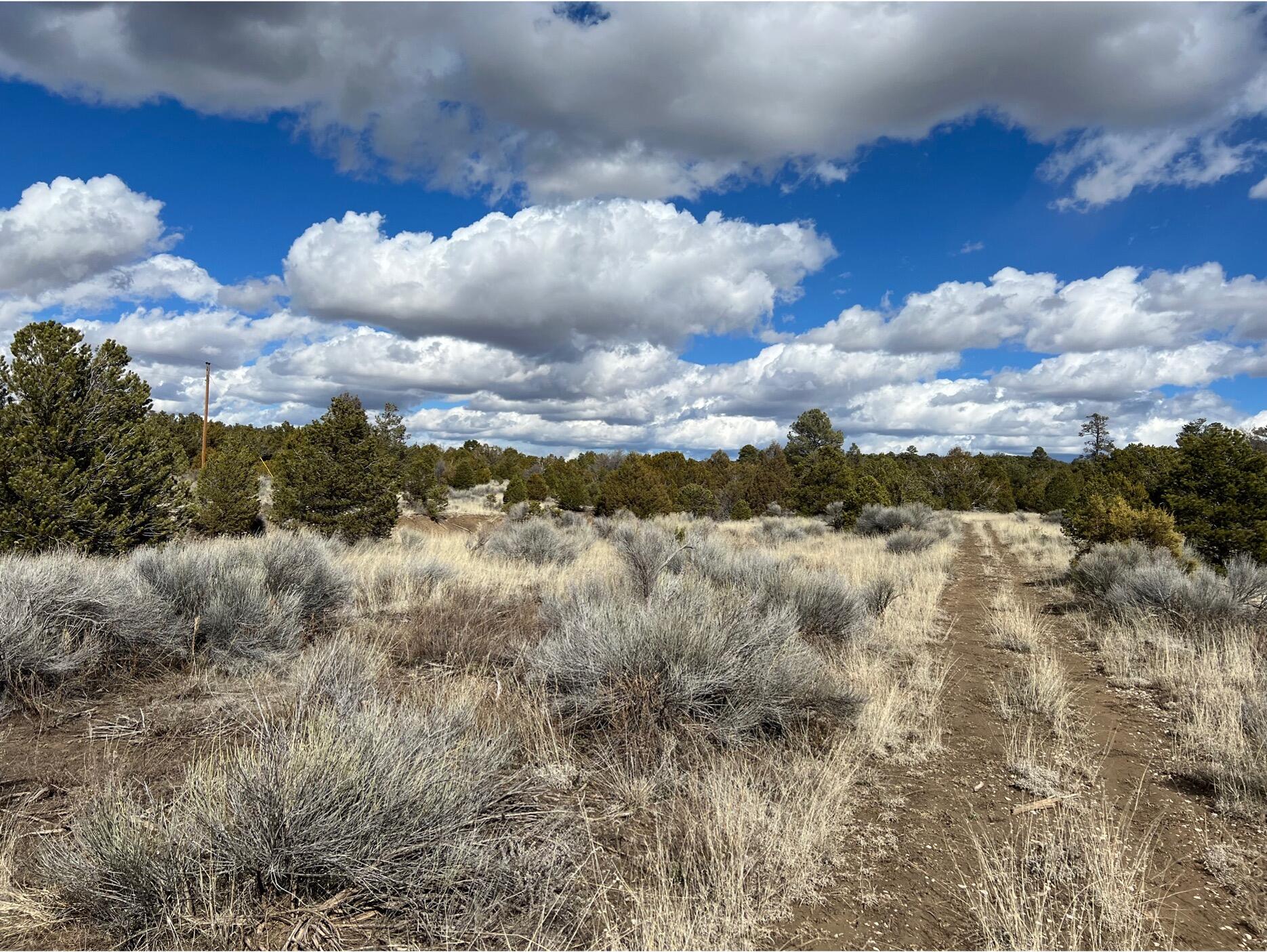 Lot 14 Candy Kitchen Road, Ramah, New Mexico image 10