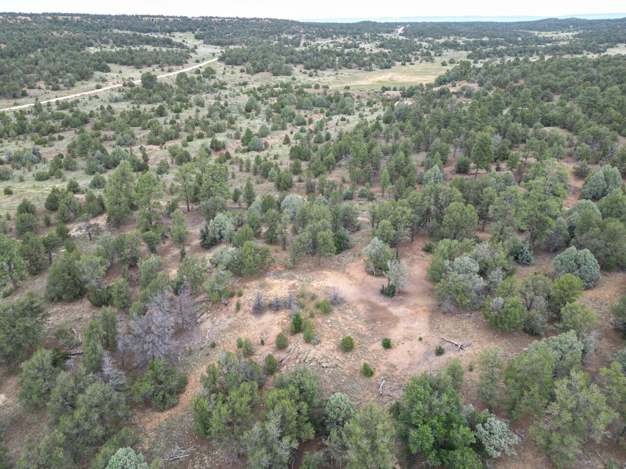 Lot 14 Candy Kitchen Road, Ramah, New Mexico image 40