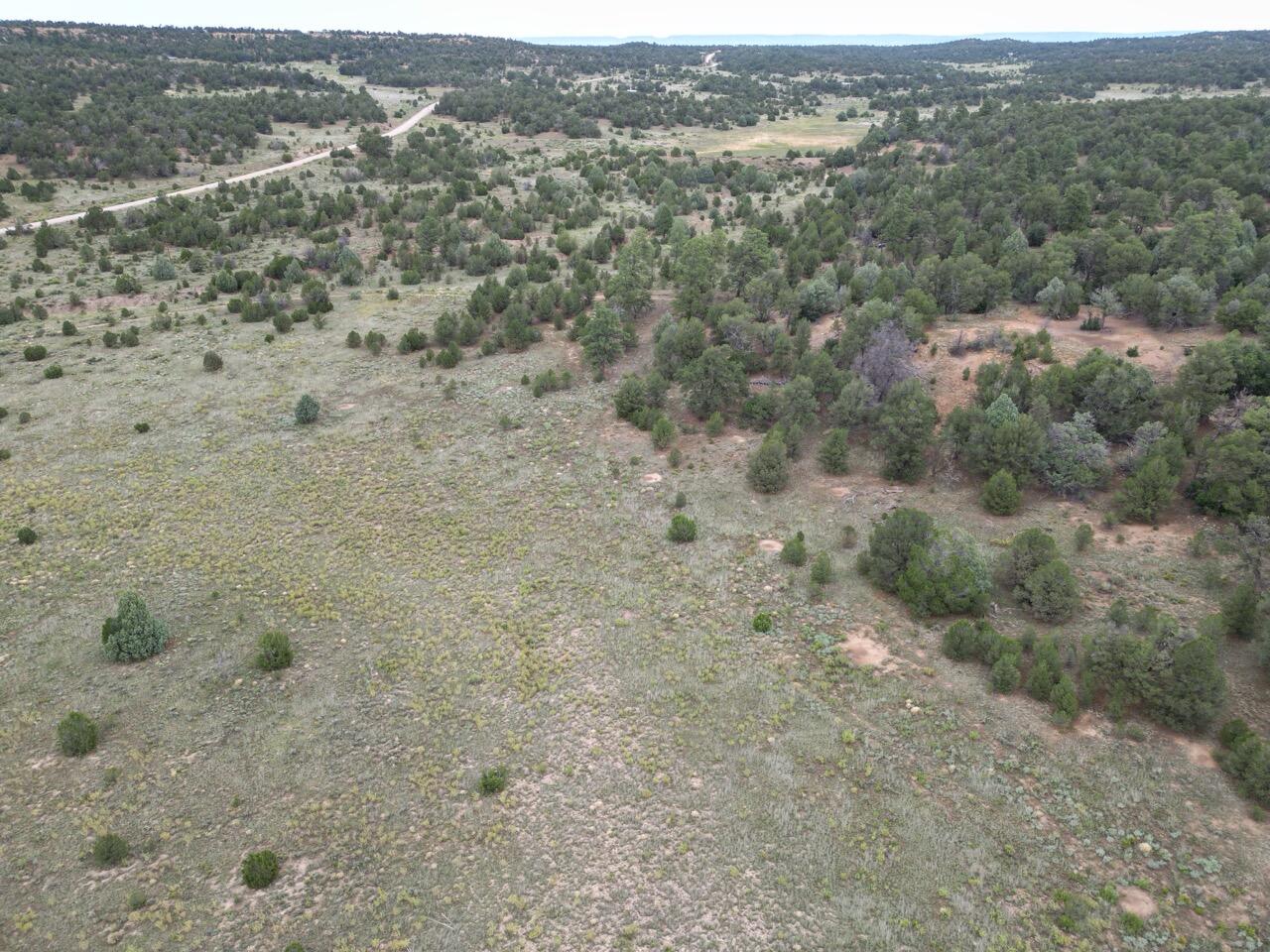 Lot 14 Candy Kitchen Road, Ramah, New Mexico image 38