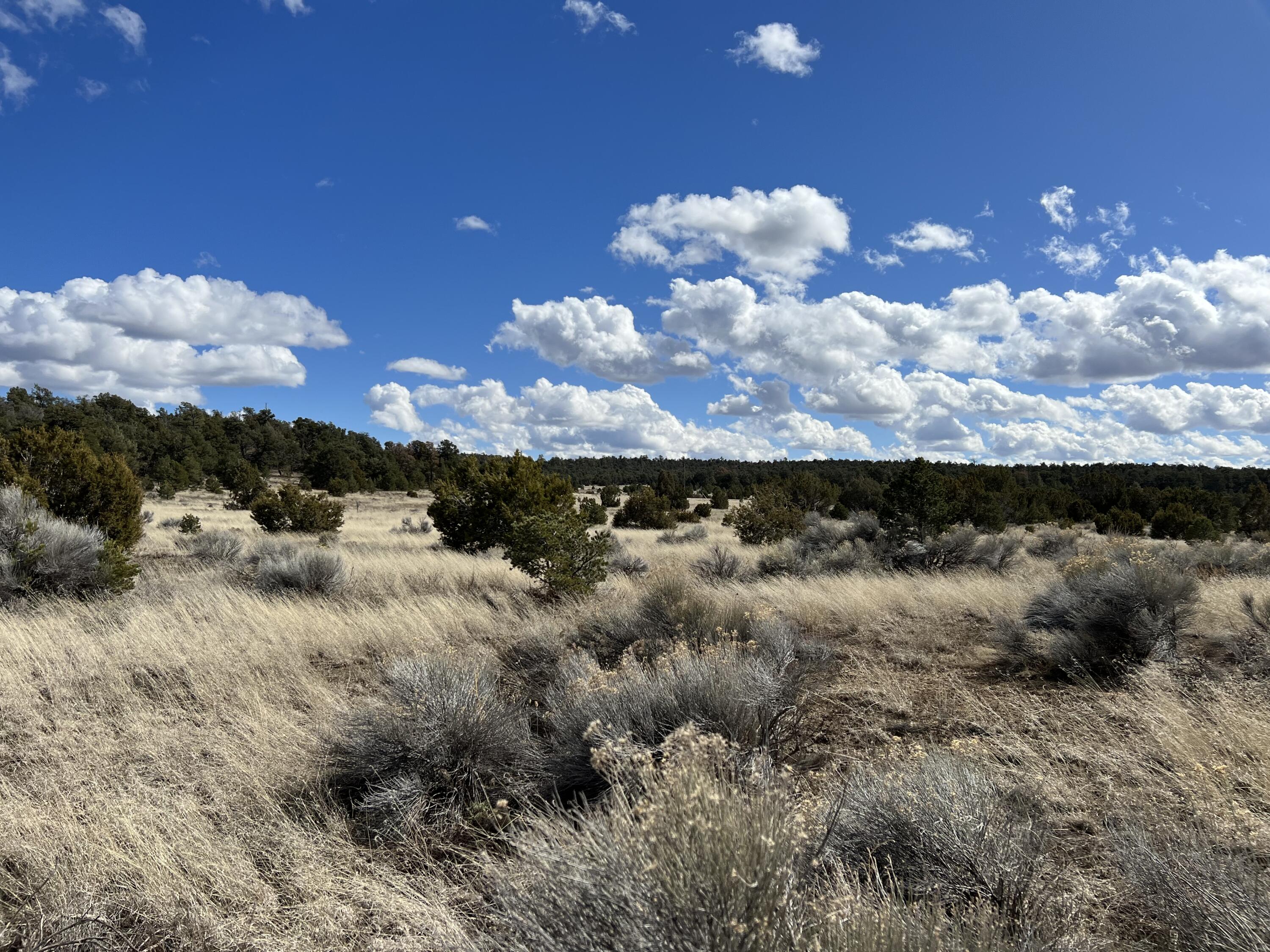 Lot 14 Candy Kitchen Road, Ramah, New Mexico image 32