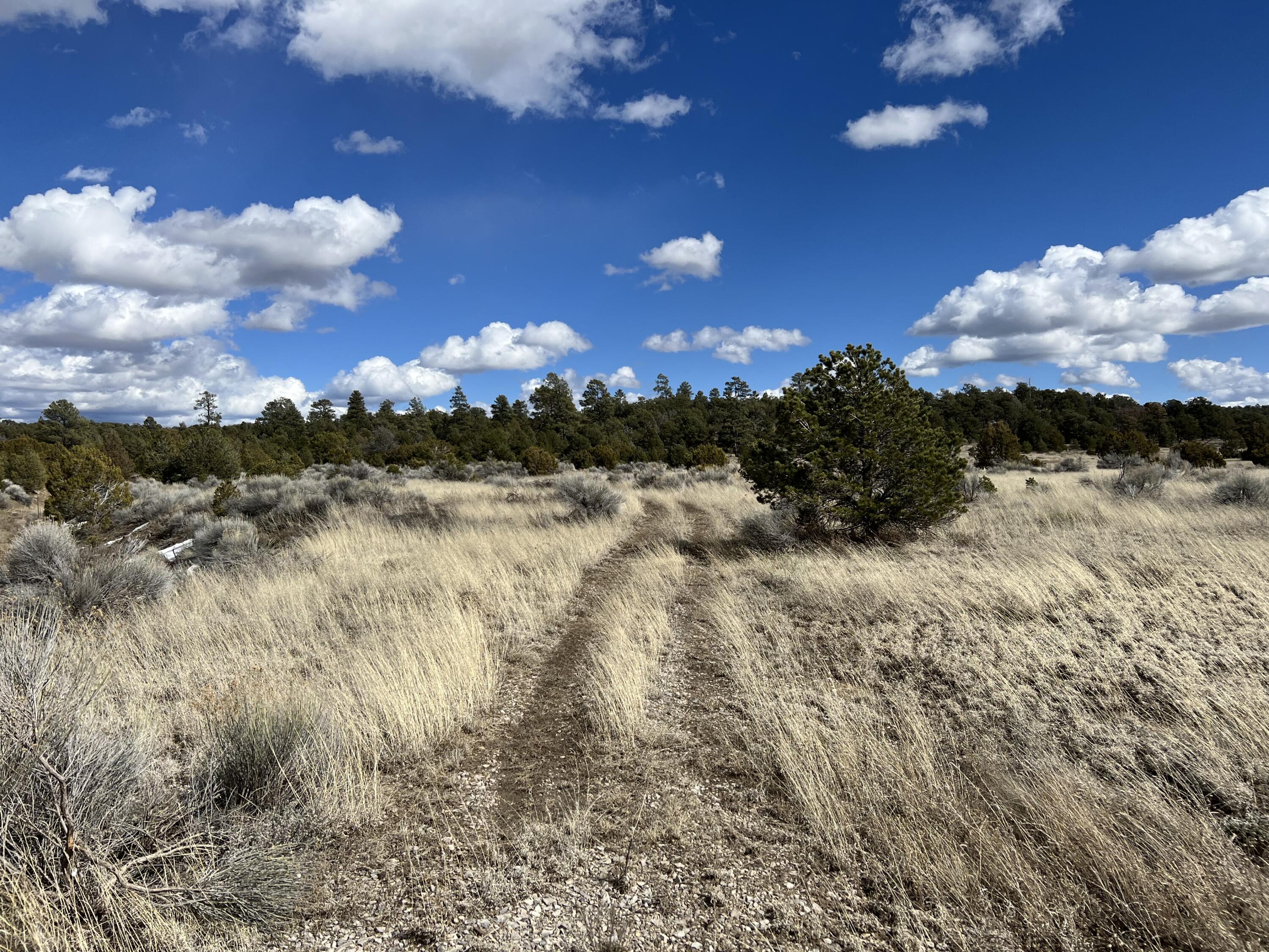 Lot 14 Candy Kitchen Road, Ramah, New Mexico image 27