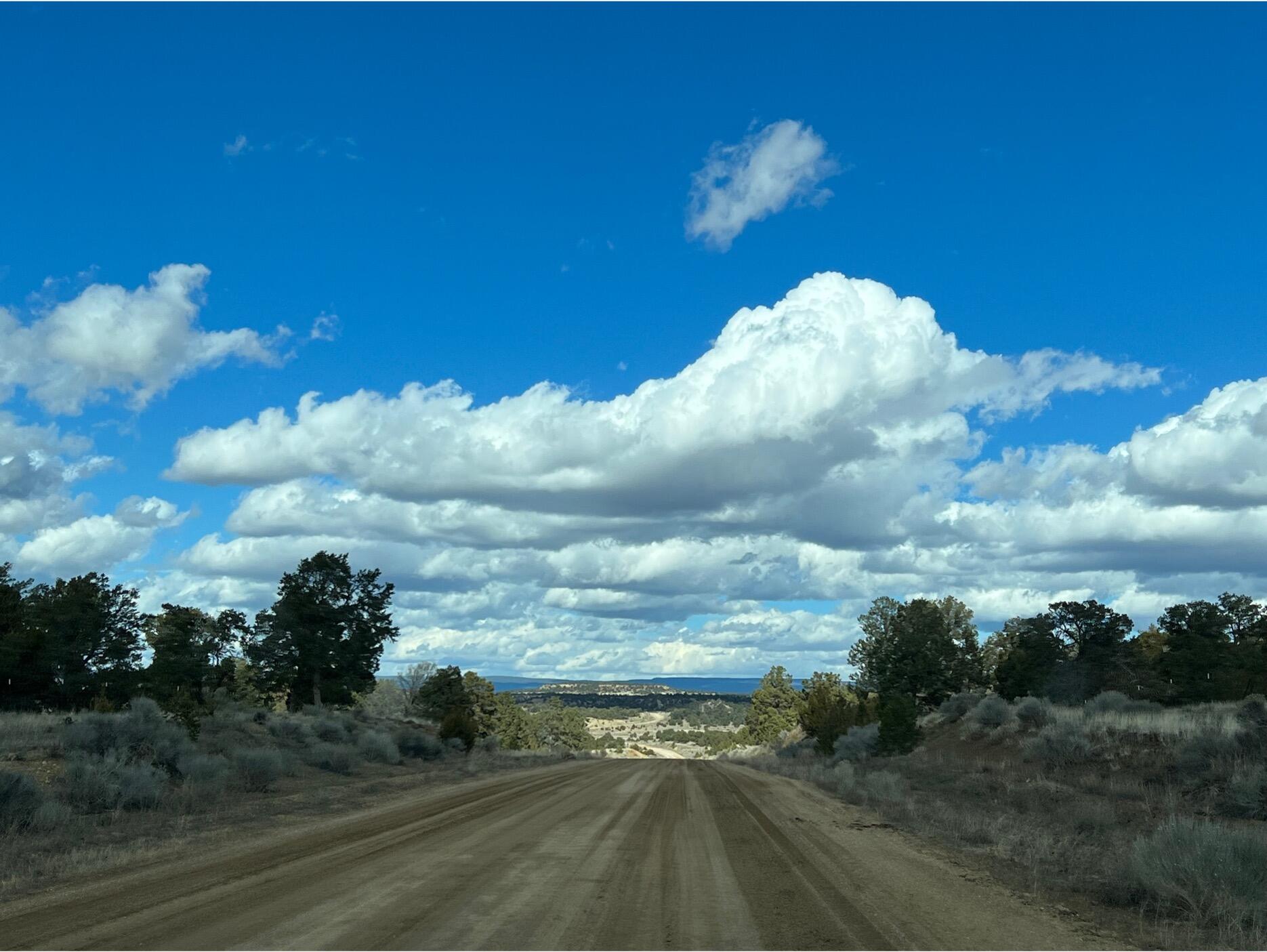 Lot 14 Candy Kitchen Road, Ramah, New Mexico image 6