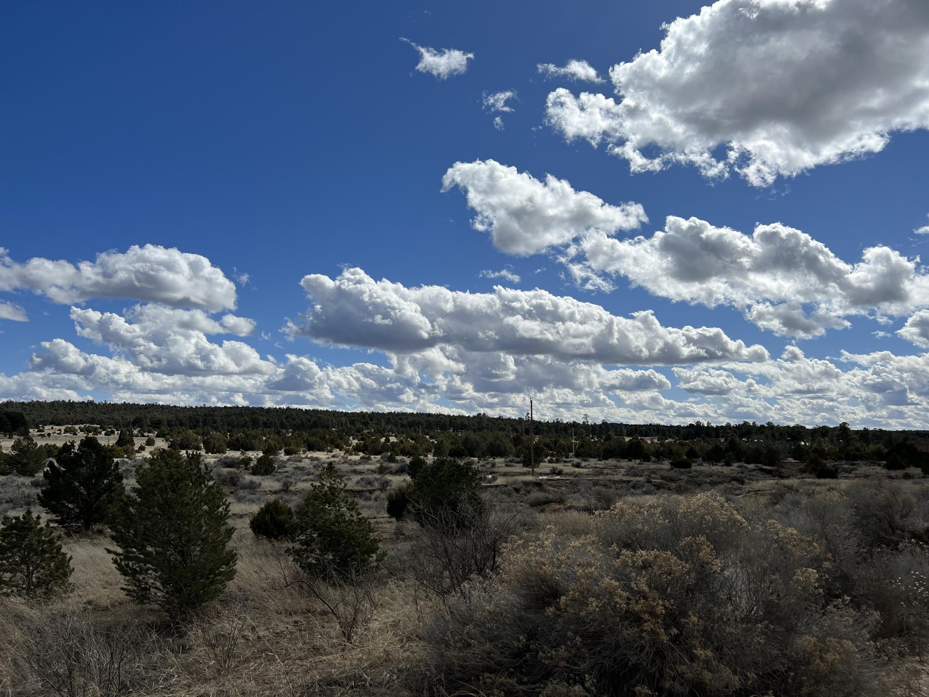 Lot 14 Candy Kitchen Road, Ramah, New Mexico image 23