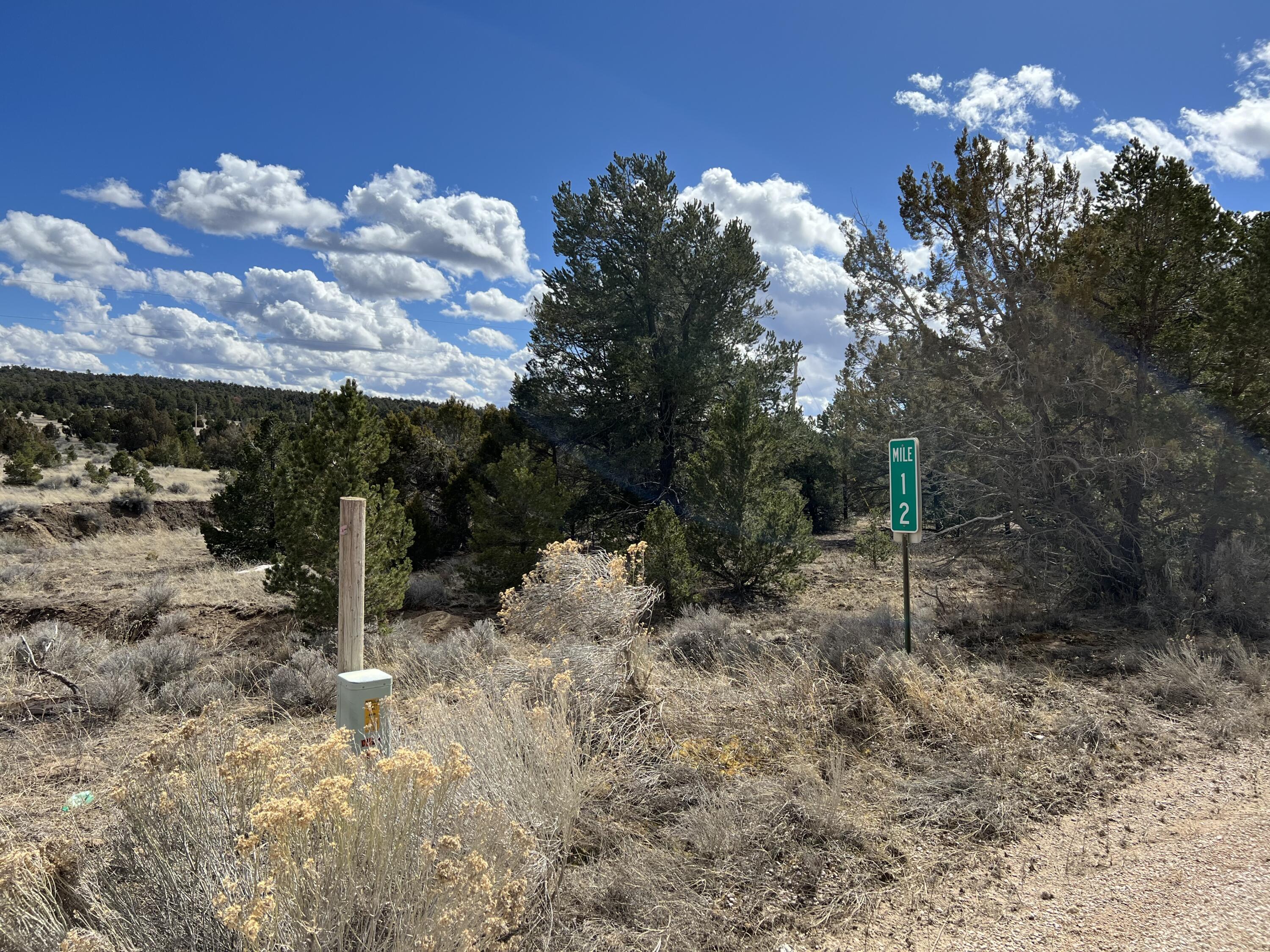 Lot 14 Candy Kitchen Road, Ramah, New Mexico image 15