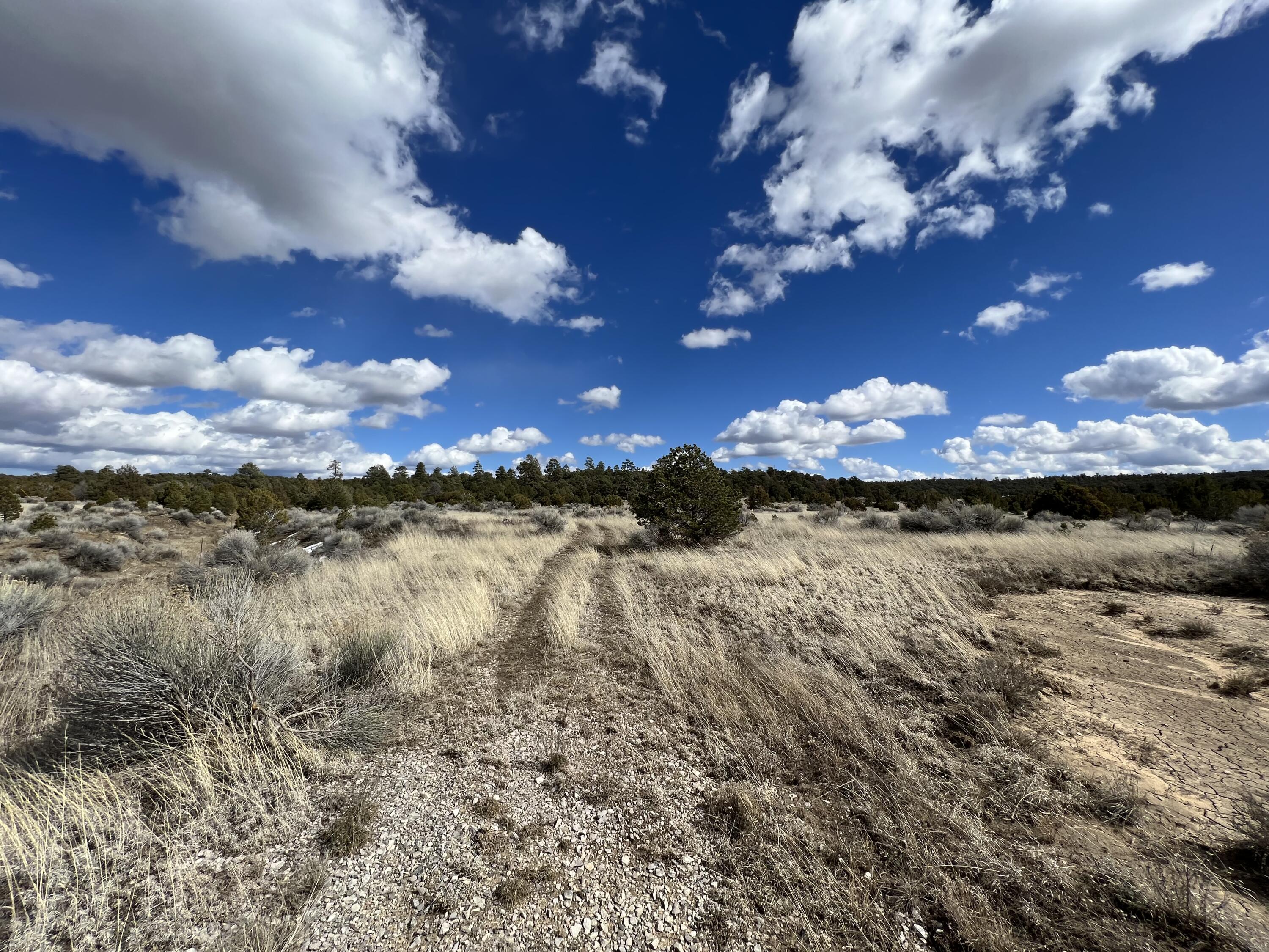 Lot 14 Candy Kitchen Road, Ramah, New Mexico image 28