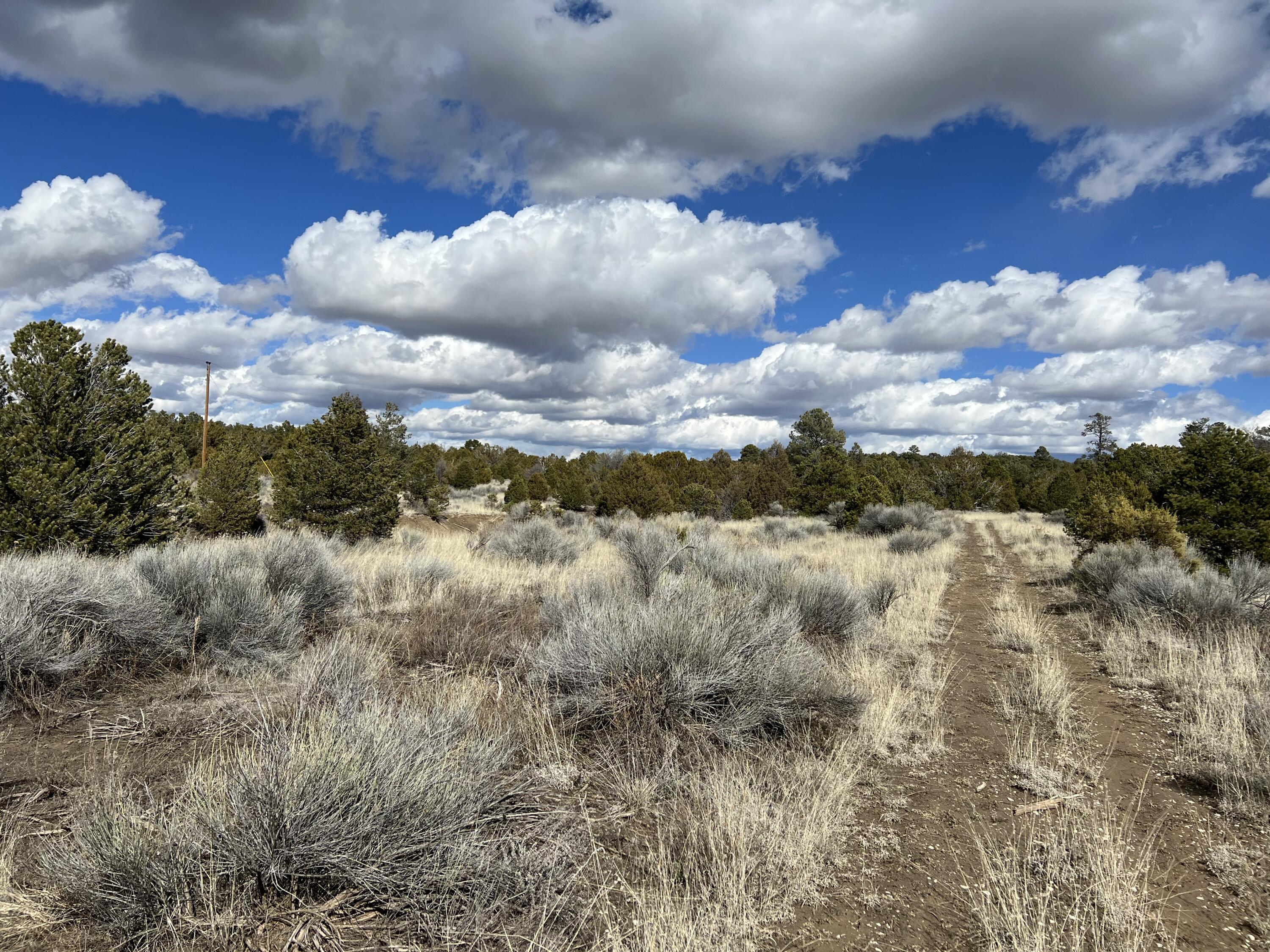 Lot 14 Candy Kitchen Road, Ramah, New Mexico image 33