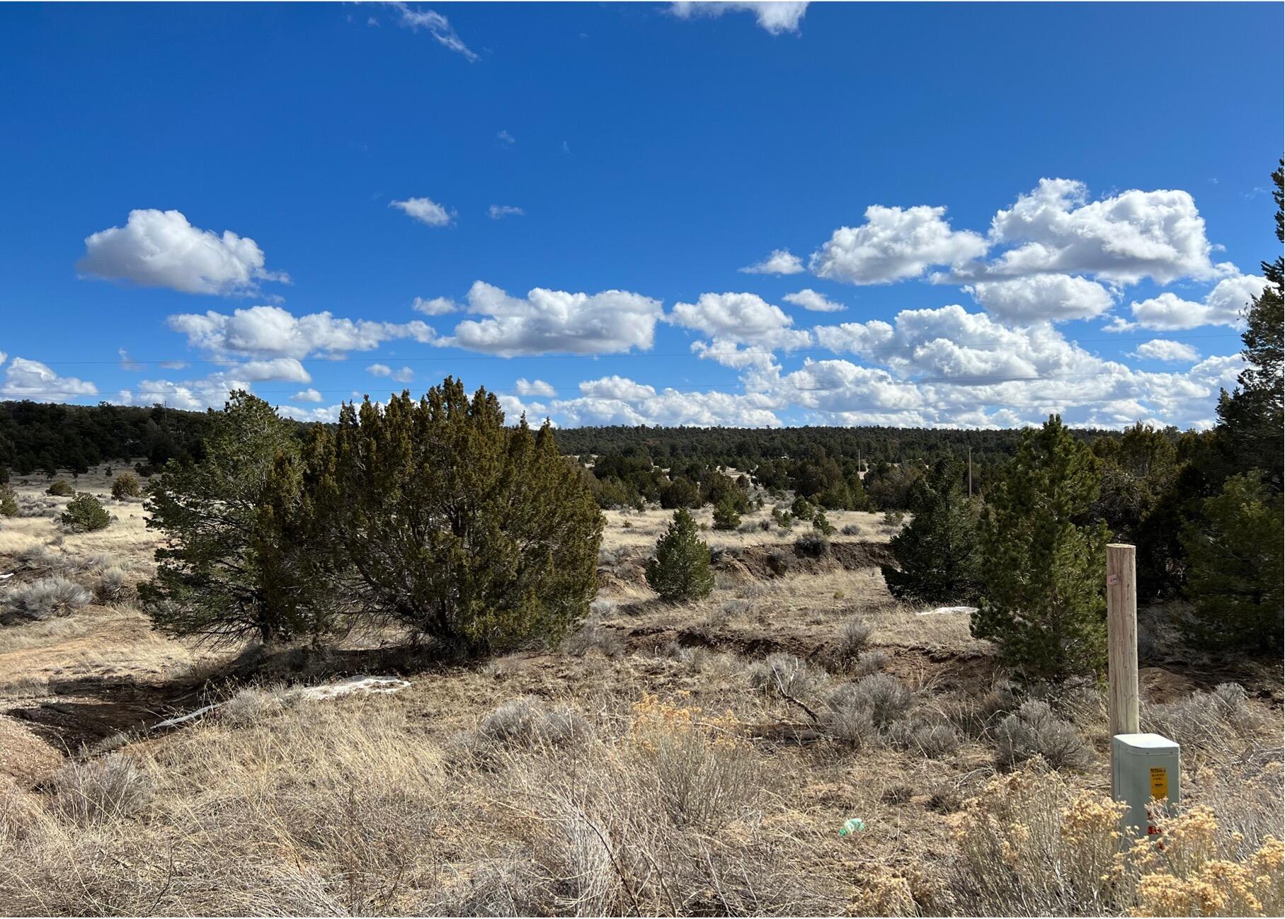 Lot 14 Candy Kitchen Road, Ramah, New Mexico image 5