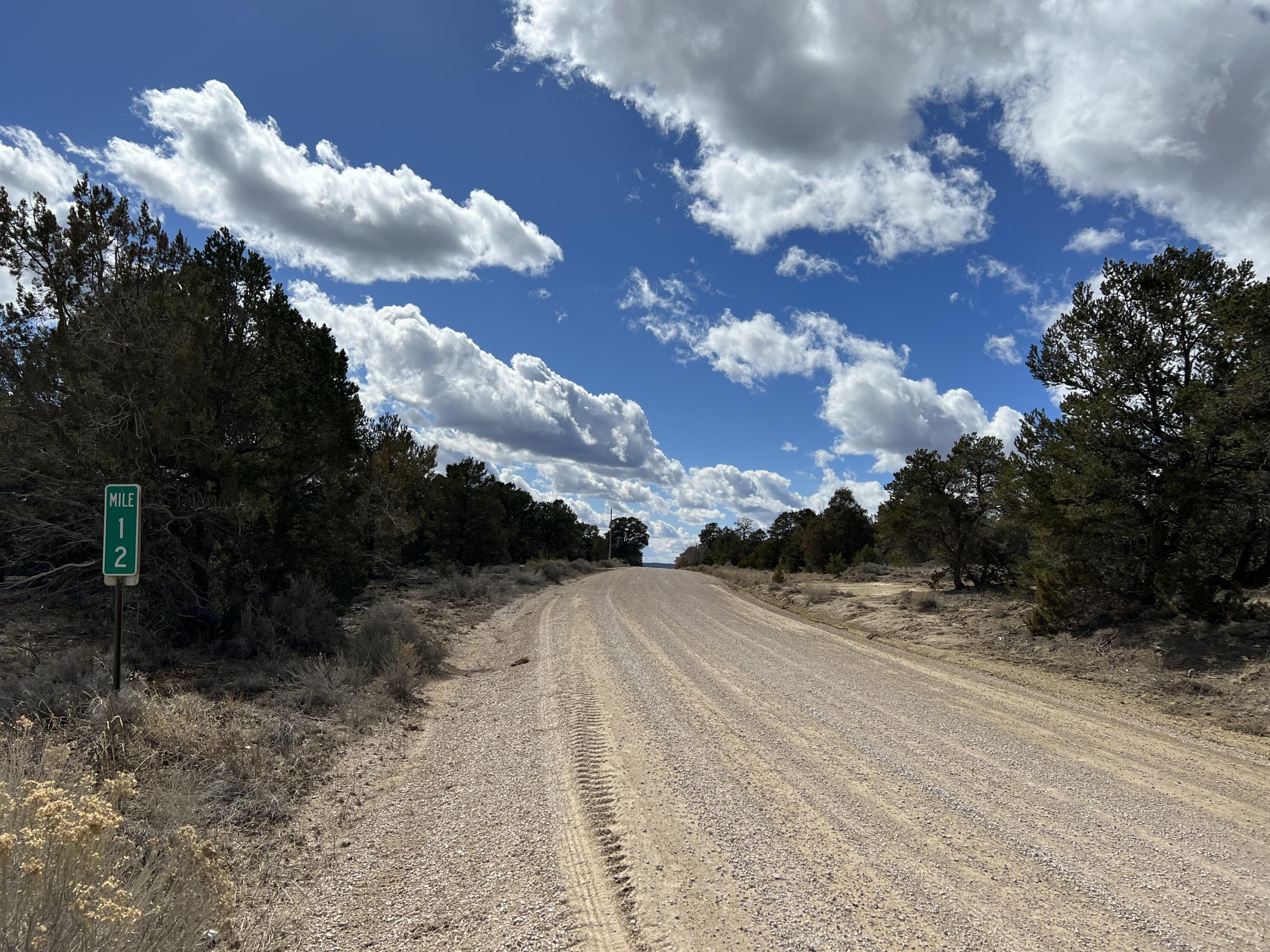 Lot 14 Candy Kitchen Road, Ramah, New Mexico image 18