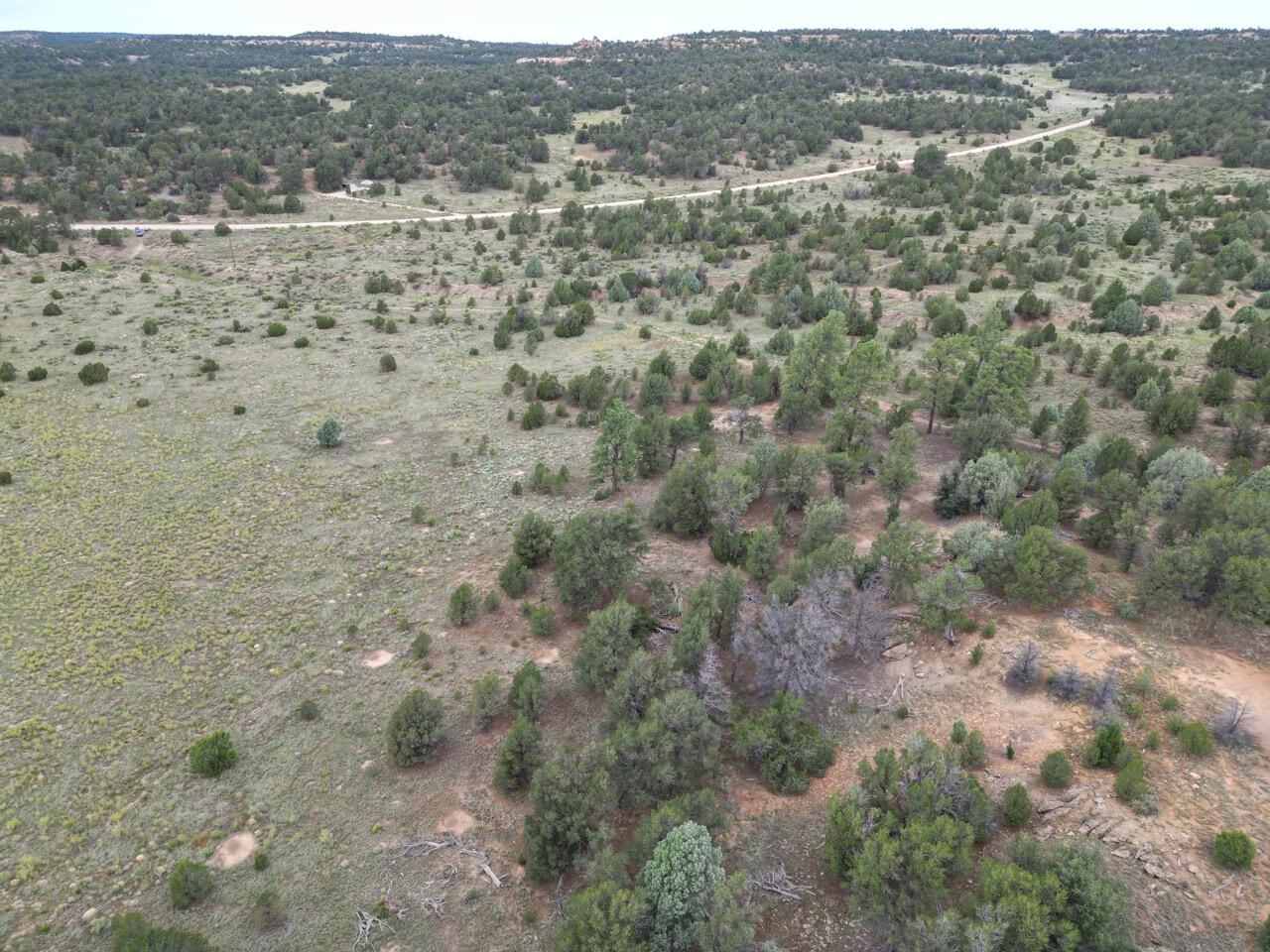 Lot 14 Candy Kitchen Road, Ramah, New Mexico image 41