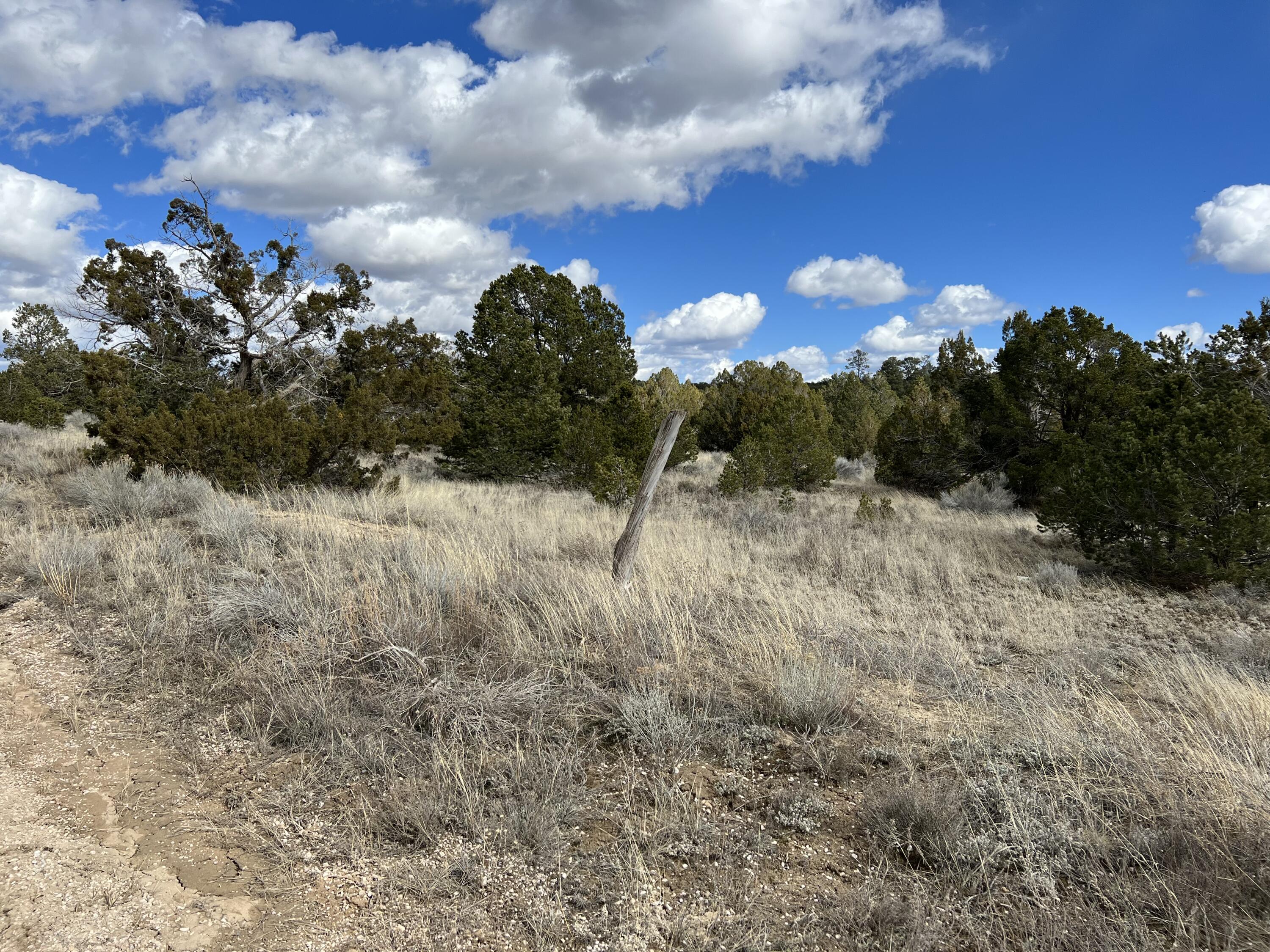 Lot 14 Candy Kitchen Road, Ramah, New Mexico image 19