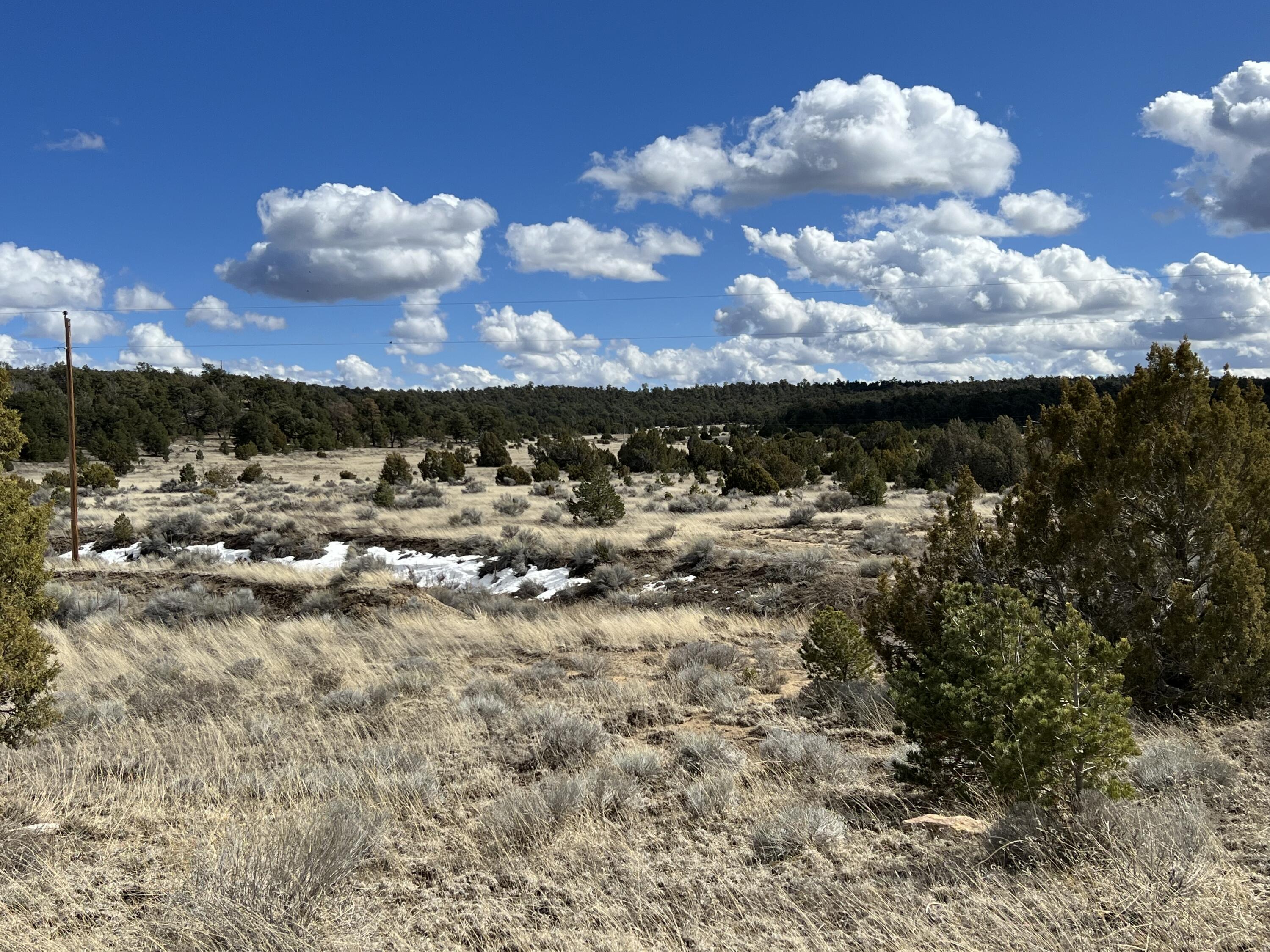 Lot 14 Candy Kitchen Road, Ramah, New Mexico image 24