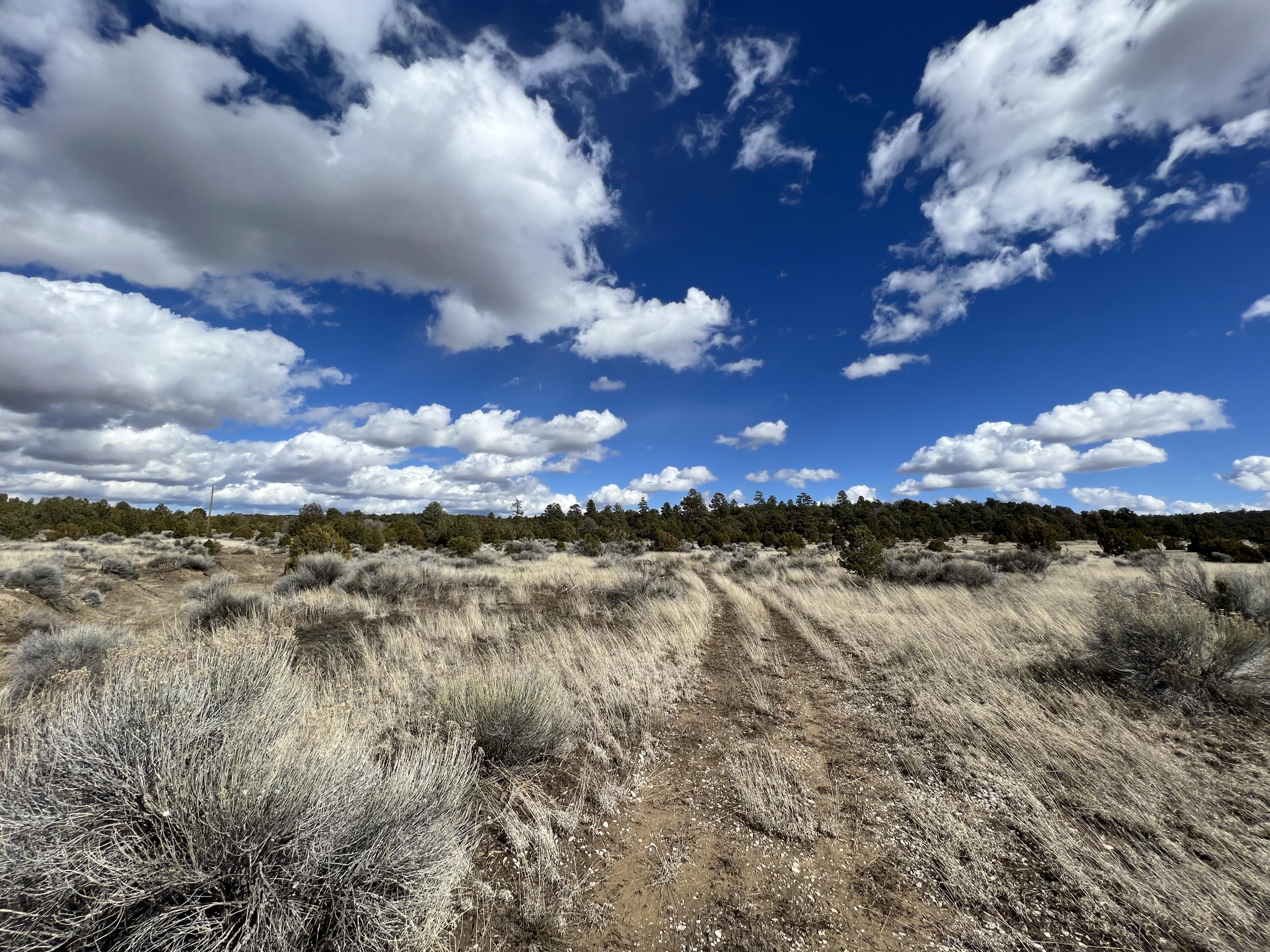 Lot 14 Candy Kitchen Road, Ramah, New Mexico image 29