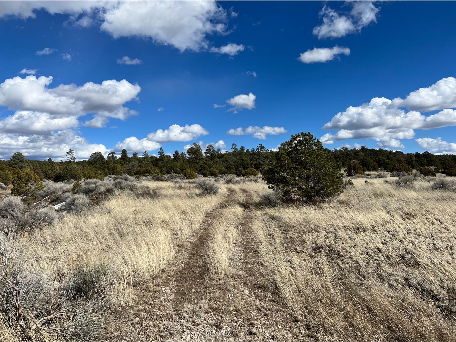 Lot 14 Candy Kitchen Road, Ramah, New Mexico image 9