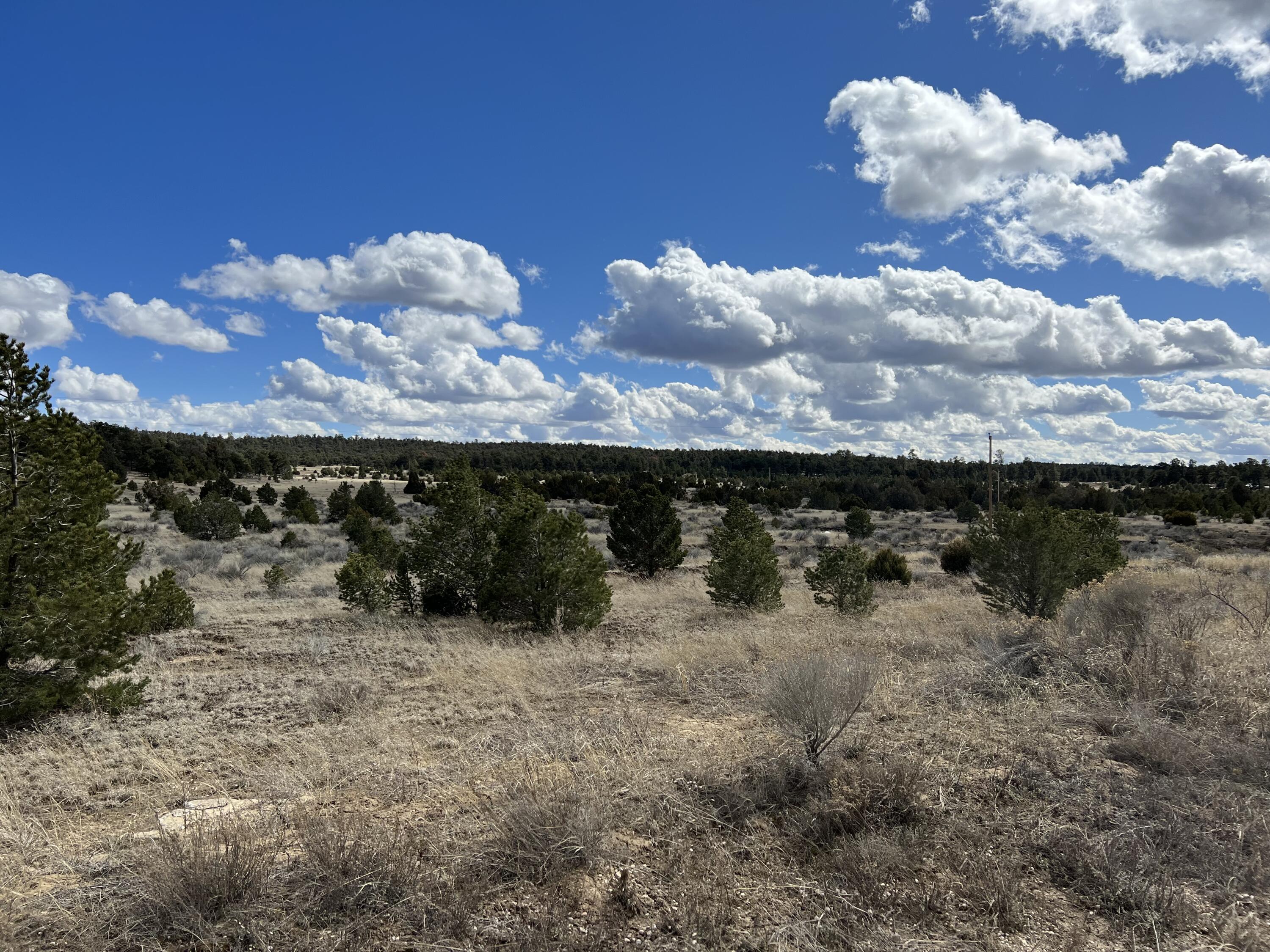 Lot 14 Candy Kitchen Road, Ramah, New Mexico image 20