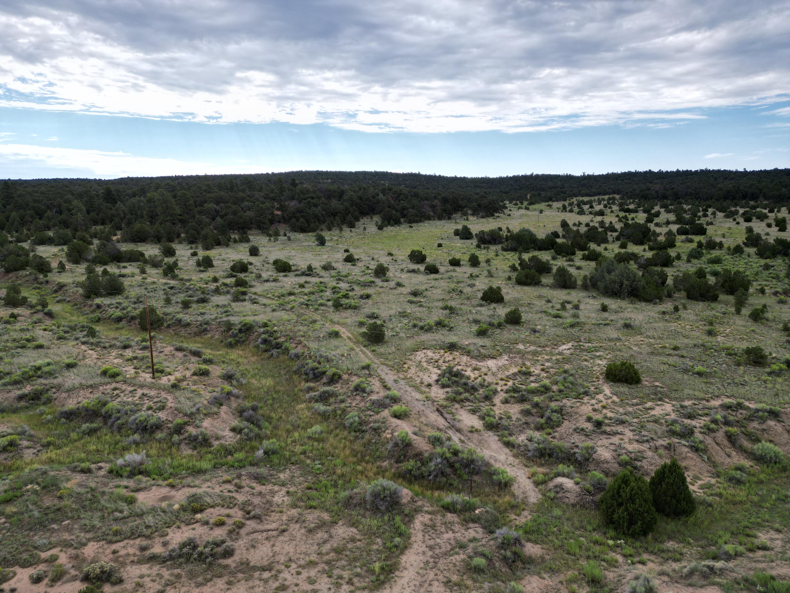 Lot 14 Candy Kitchen Road, Ramah, New Mexico image 34