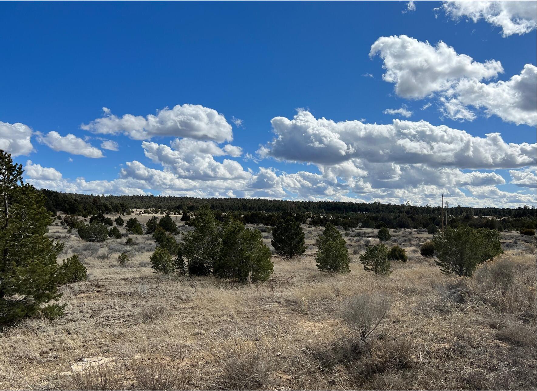 Lot 14 Candy Kitchen Road, Ramah, New Mexico image 2