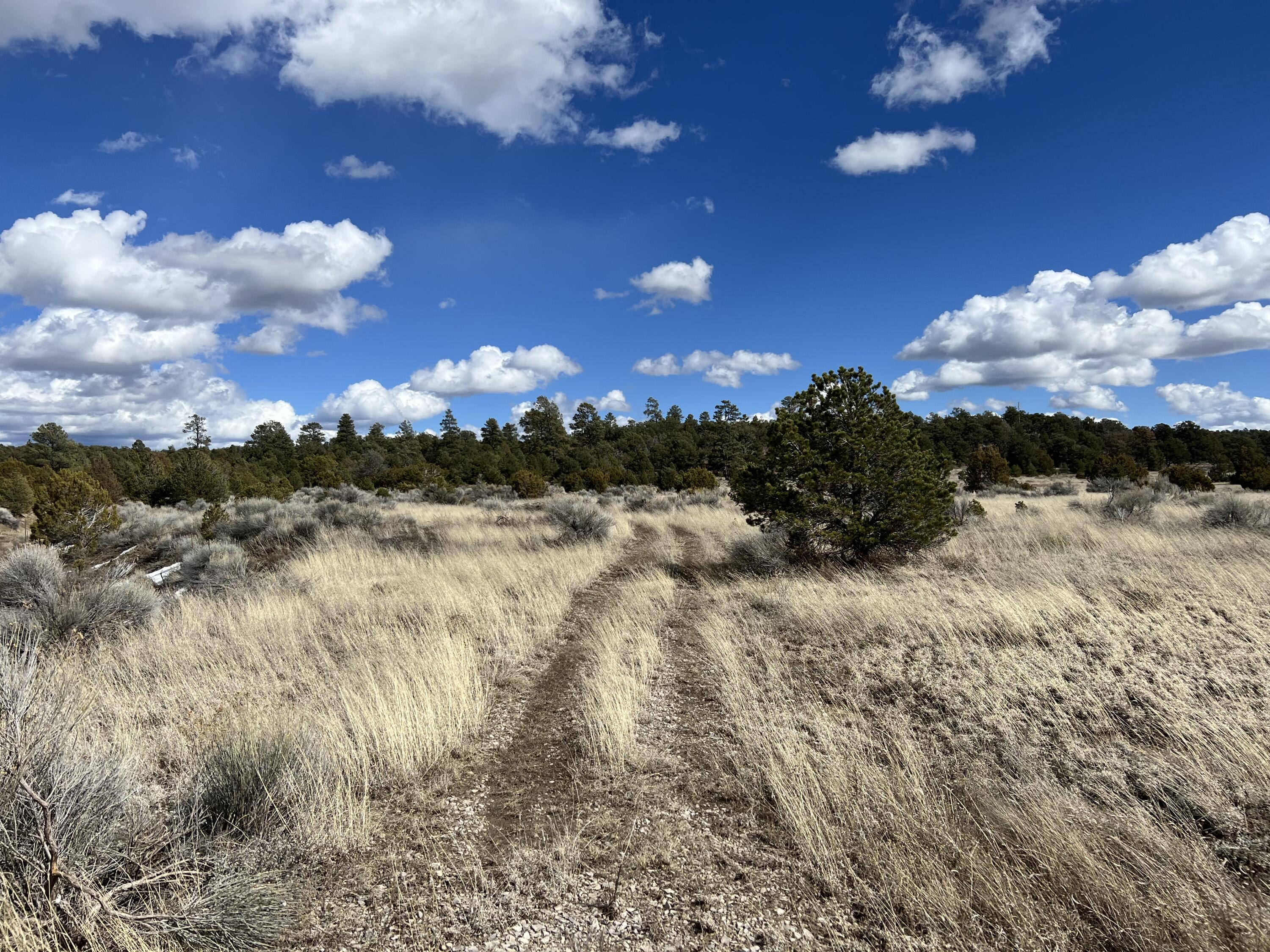 Lot 14 Candy Kitchen Road, Ramah, New Mexico image 26